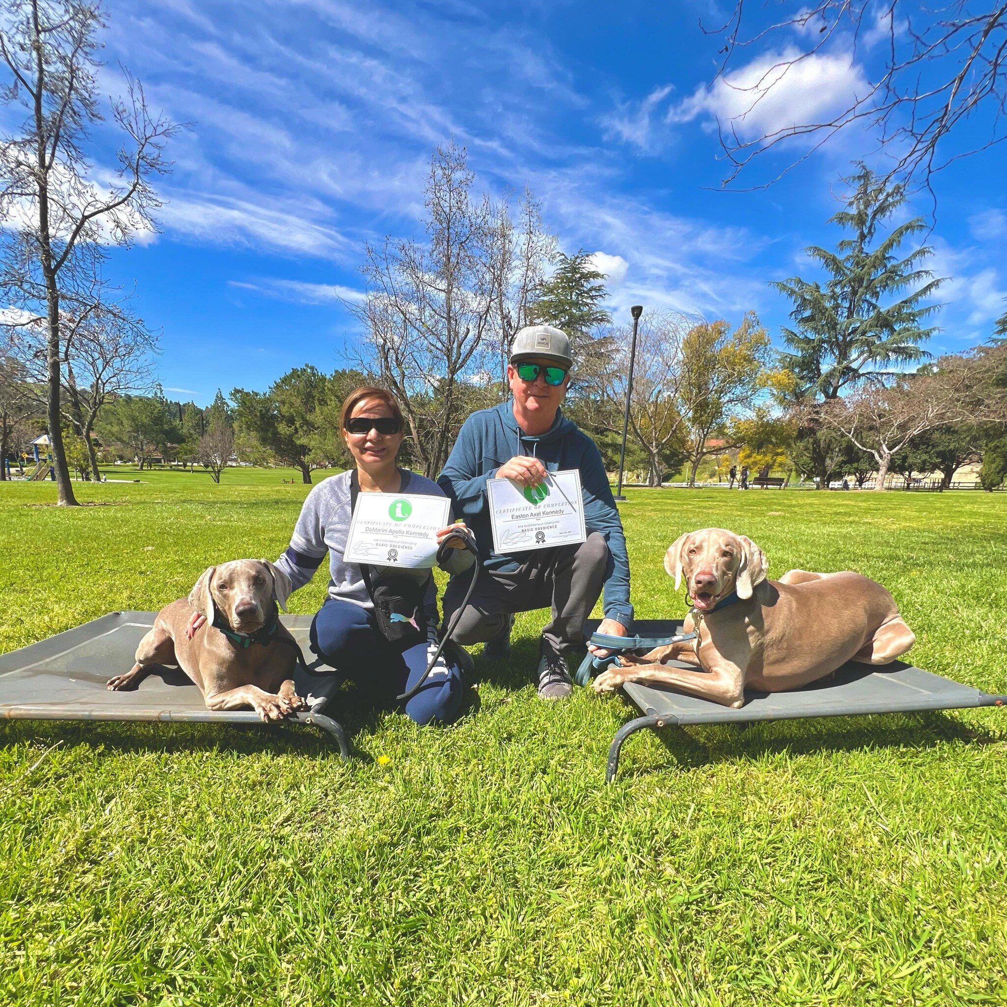 Congratulations to Easton &amp; DeMarini🐶🎓🐾
The Weimaraner boys graduated from our Private Session program! They came in to work on their reactivity towards dogs/people and graduated with flying colors! Next step will be Socialization group class?