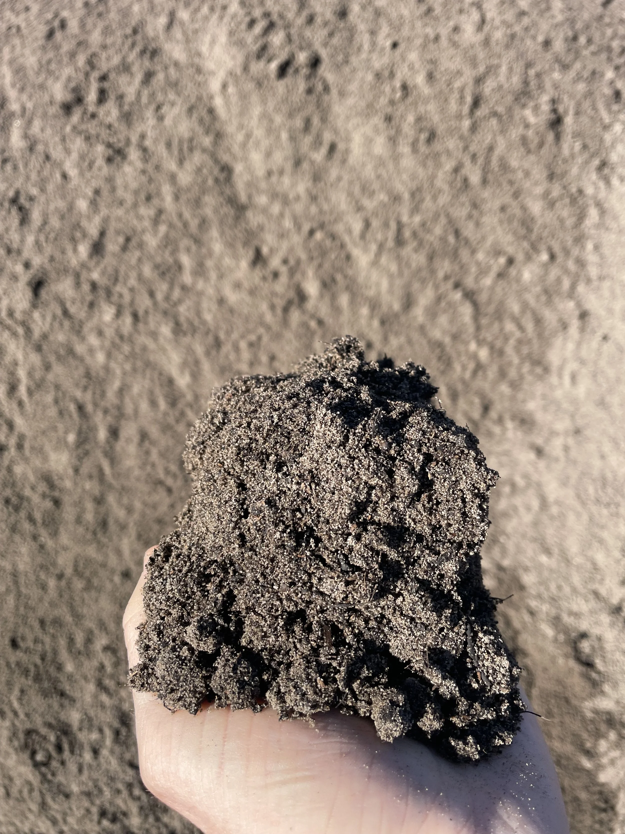 Sydney Soils & Loams — Concrete Recyclers