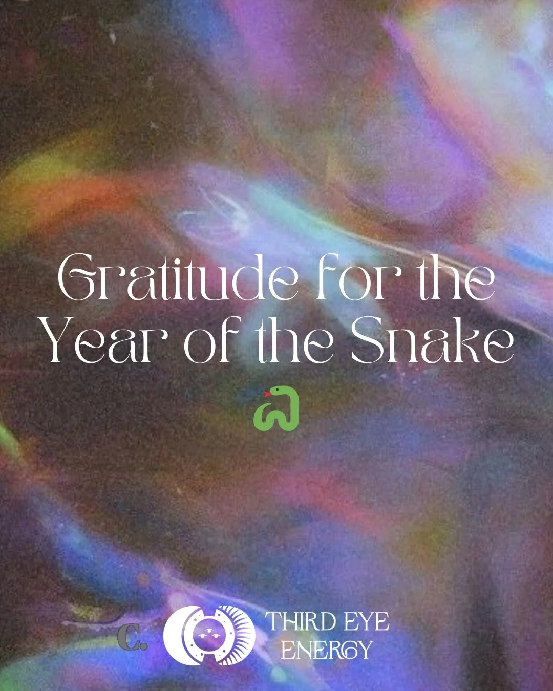 Gratitude for the Year of the Snake 🐍

This year asked me to shed the skin of limitation.

Last night, on the final day of the Year of the Snake, I found myself in a sound bath suspended in aerial silks &mdash; wrapped tightly, cocooned, trying to s
