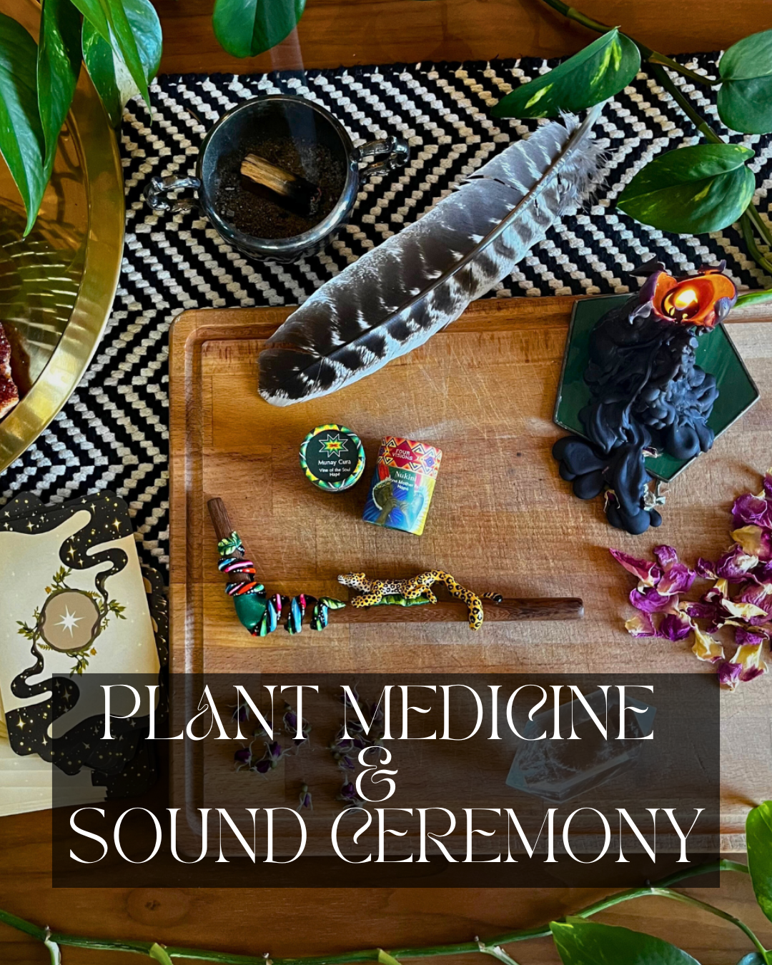 plant medicine ceremony ig .png