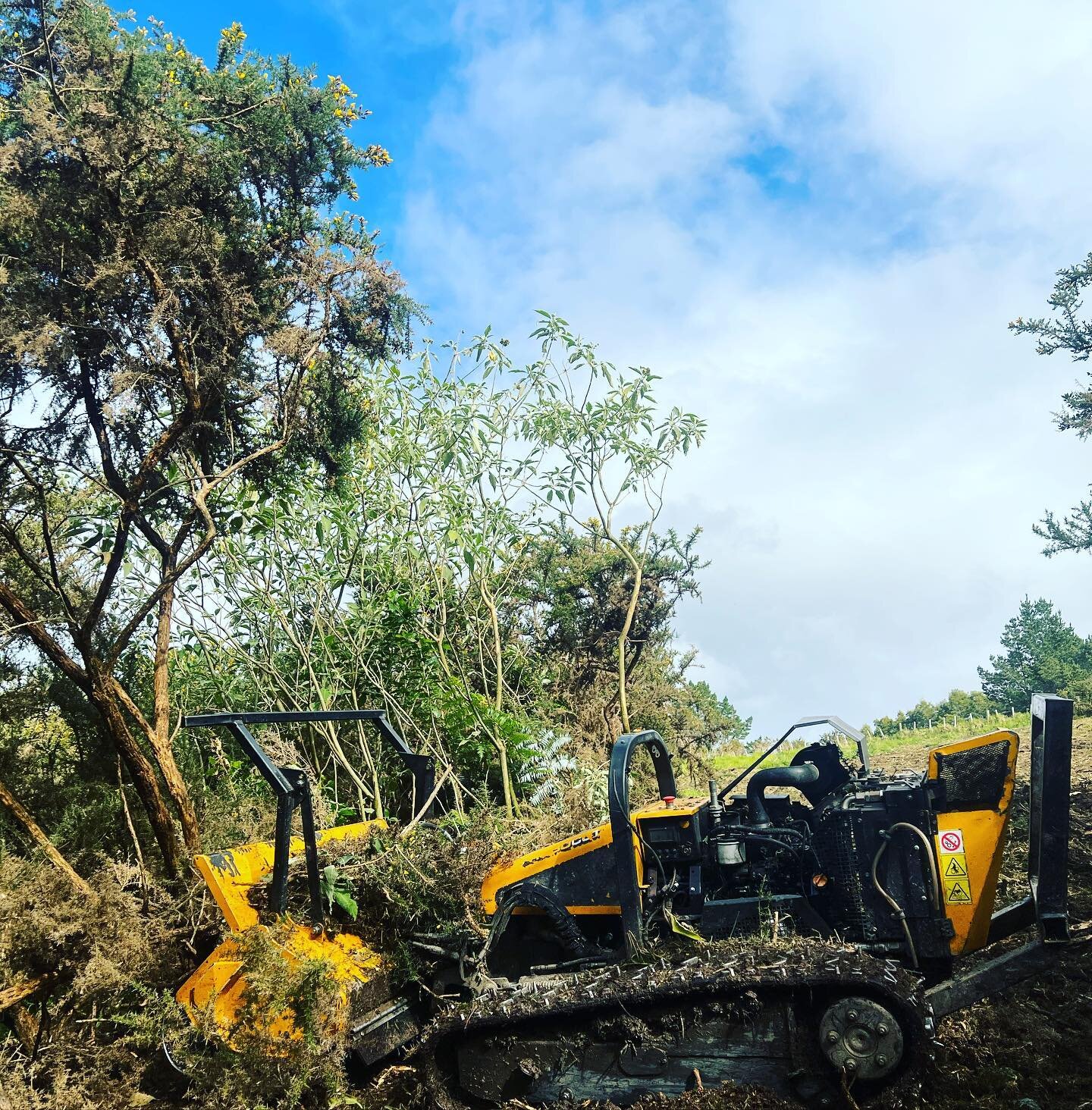 We&rsquo;ve noticed the council is taking action on removal of invasive species like gorse, woolly nightshade and privet in covenanted bush. If this is affecting you and you&rsquo;re looking to tackle the problem, we&rsquo;re here to help. 
Give us a