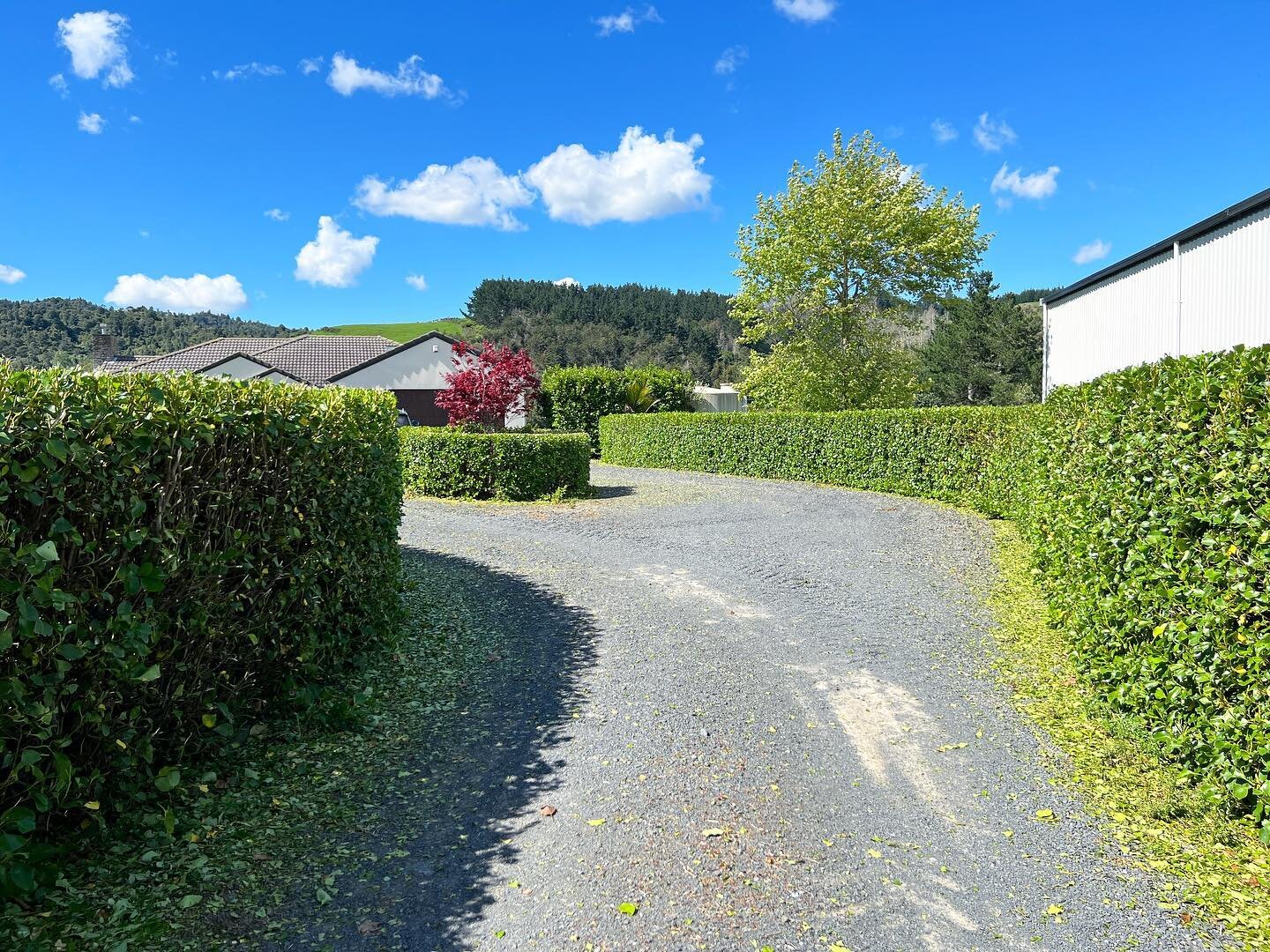 Blue skies and a fresh cut - Happy Tuesday! 👌 

0210634474
admin@60degrees.co.nz
www.60degrees.co.nz