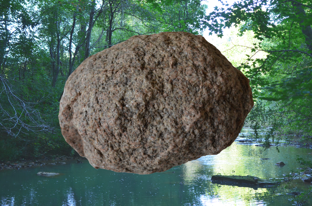 THIS STONE WANTS TO GO HOME (EXPEDITION)