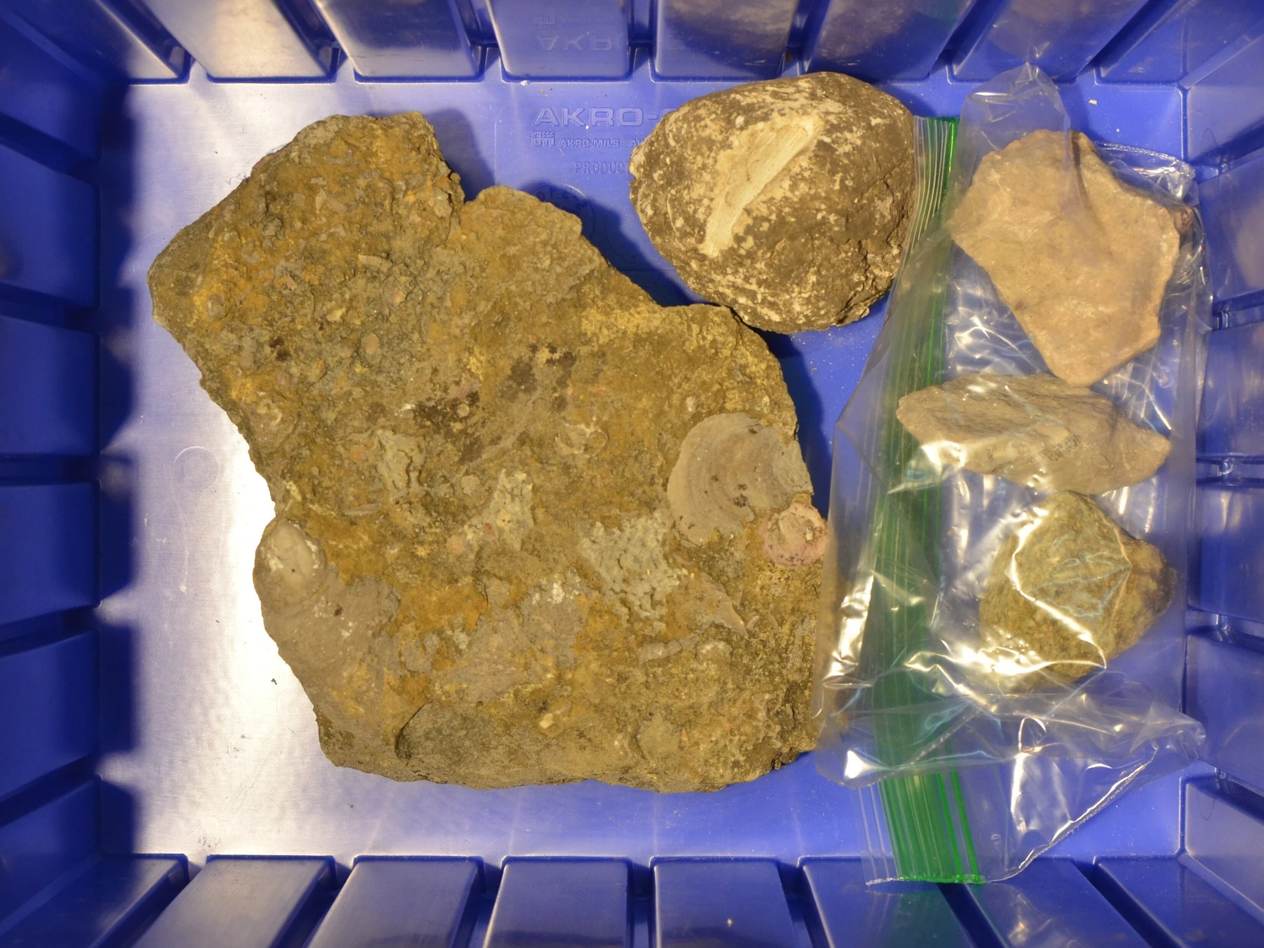 Great_Lakes_Lithic_Holdings_Box_04.JPG
