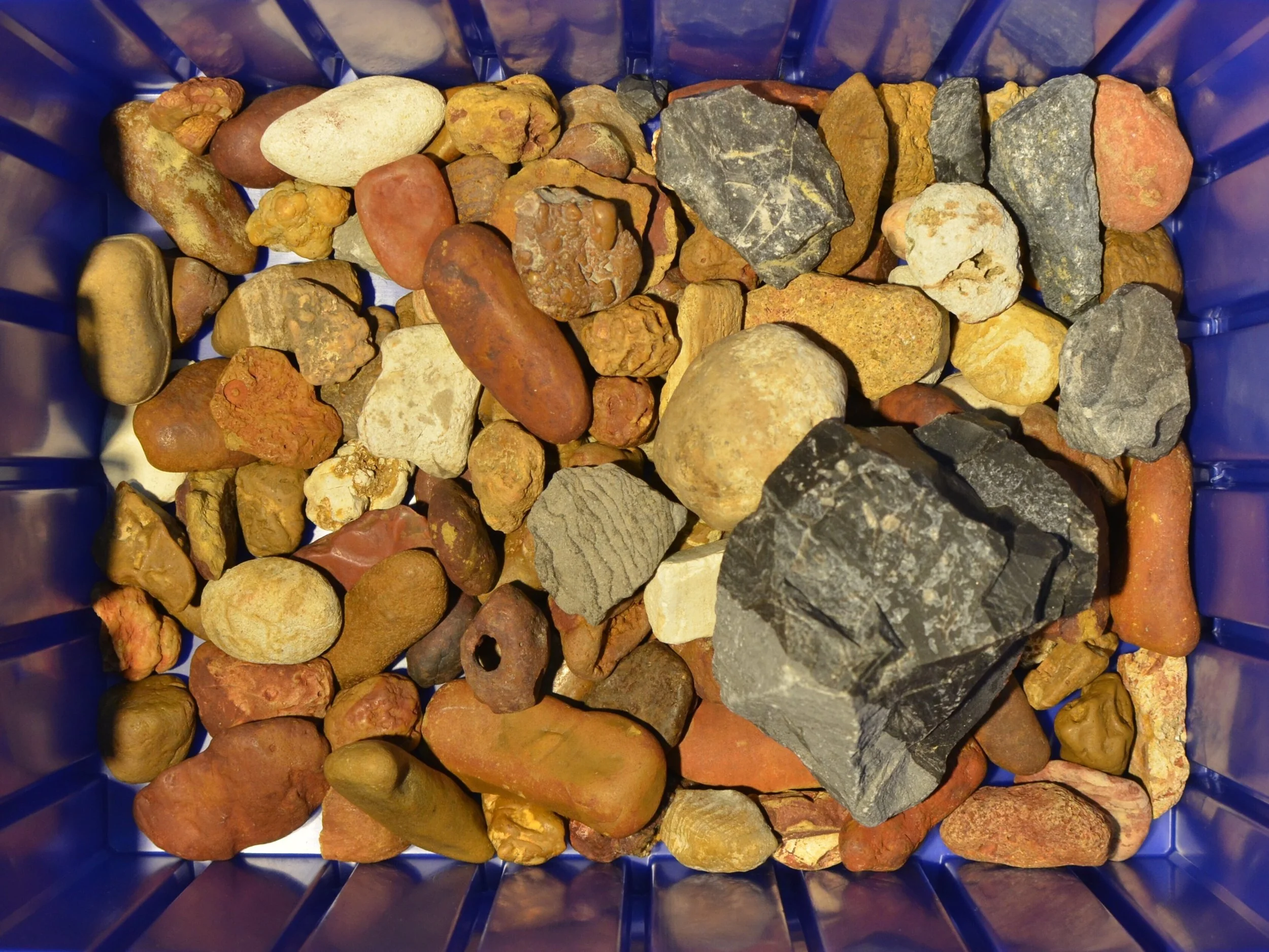 Great_Lakes_Lithic_Holdings_Box_01.JPG