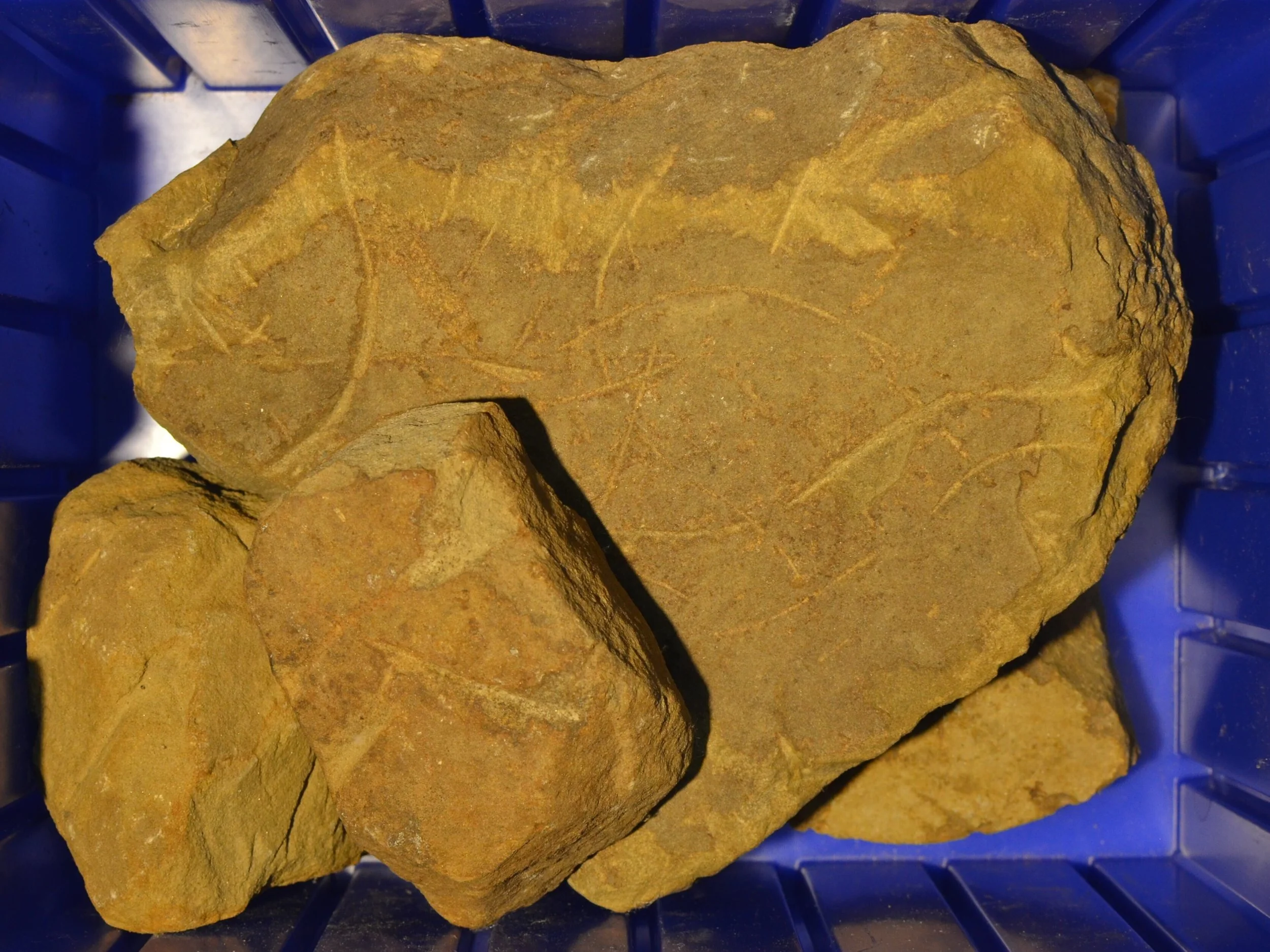 Great_Lakes_Lithic_Holdings_Box_15.JPG