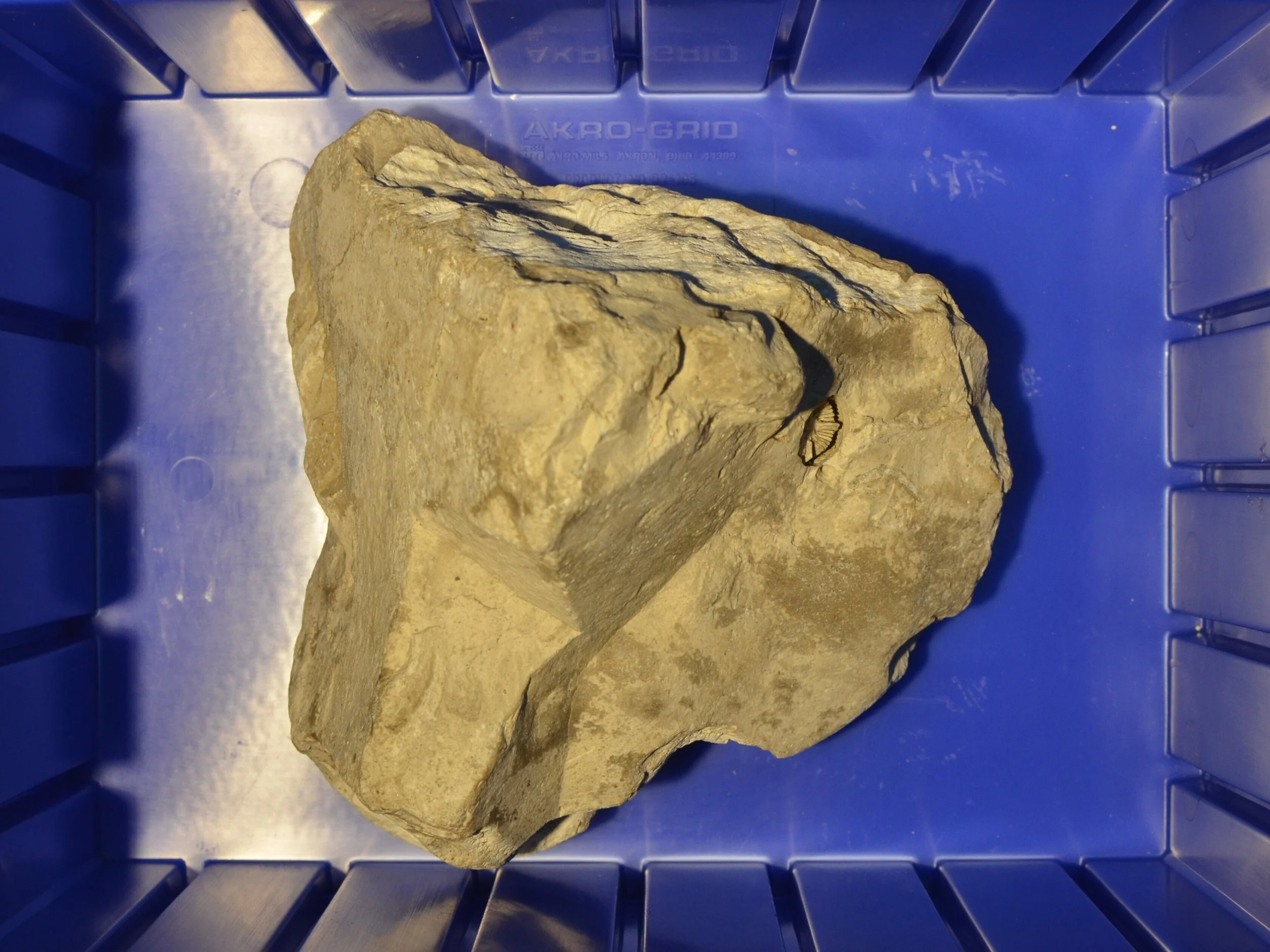 Great_Lakes_Lithic_Holdings_Box_45.JPG
