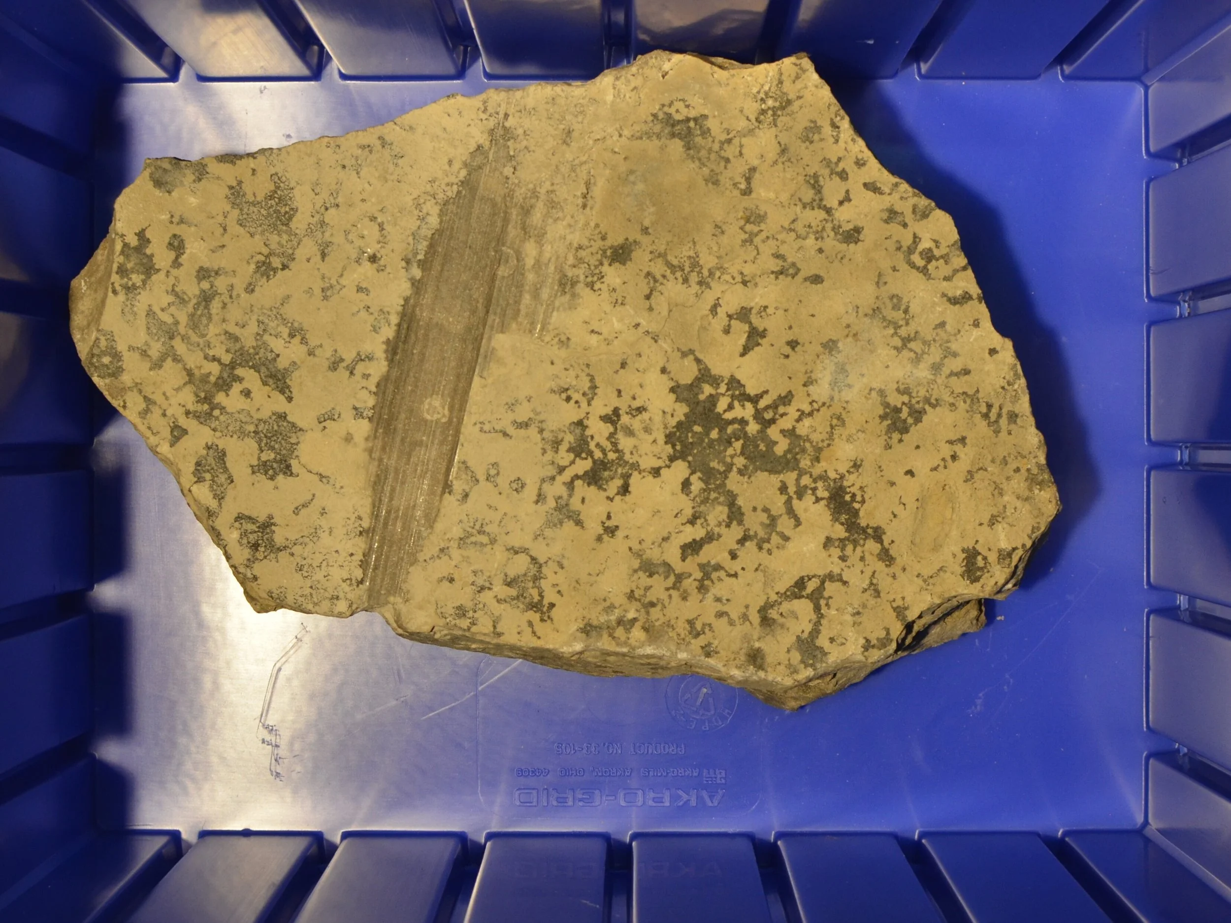 Great_Lakes_Lithic_Holdings_Box_44.JPG
