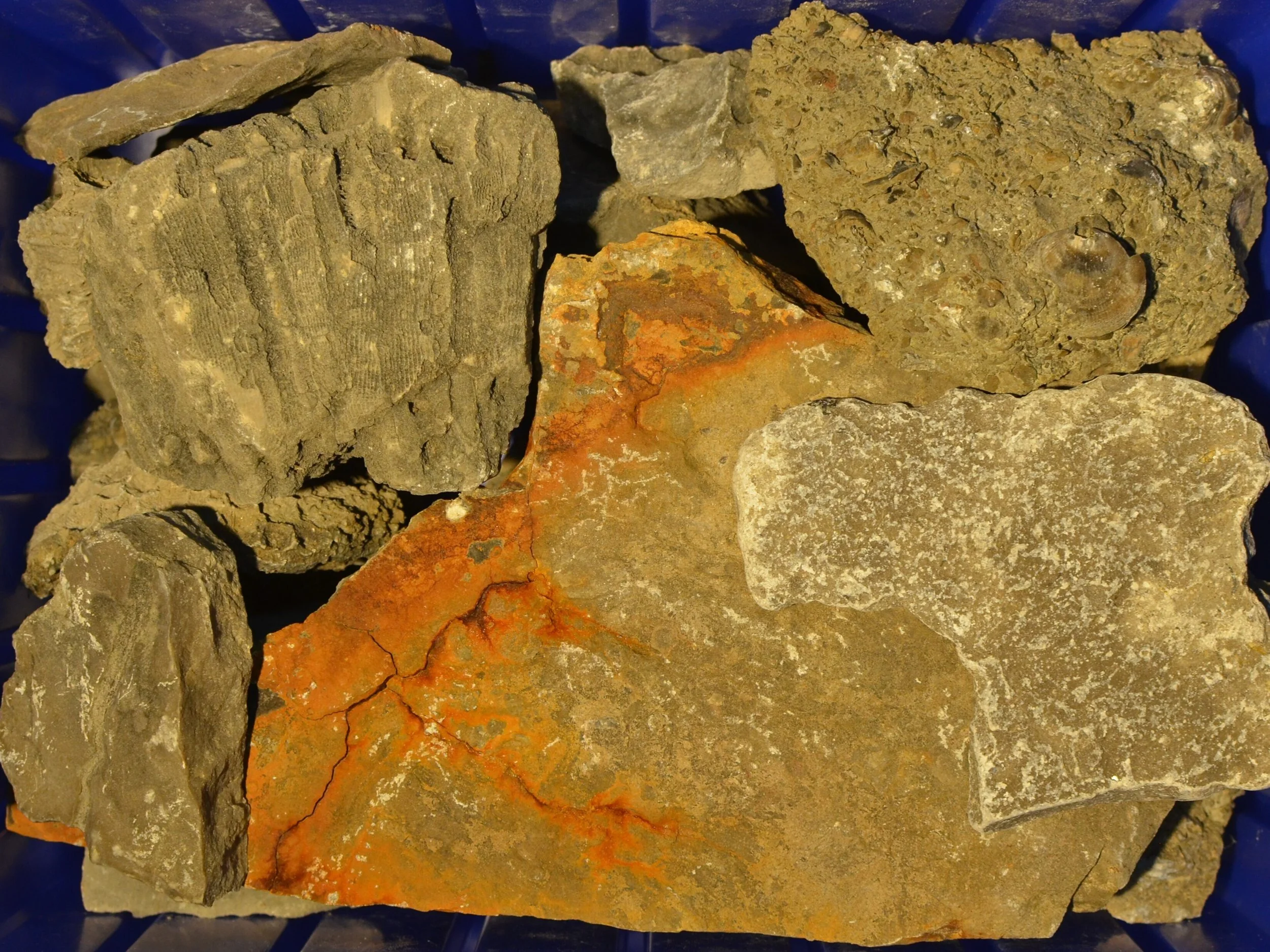 Great_Lakes_Lithic_Holdings_Box_22.JPG