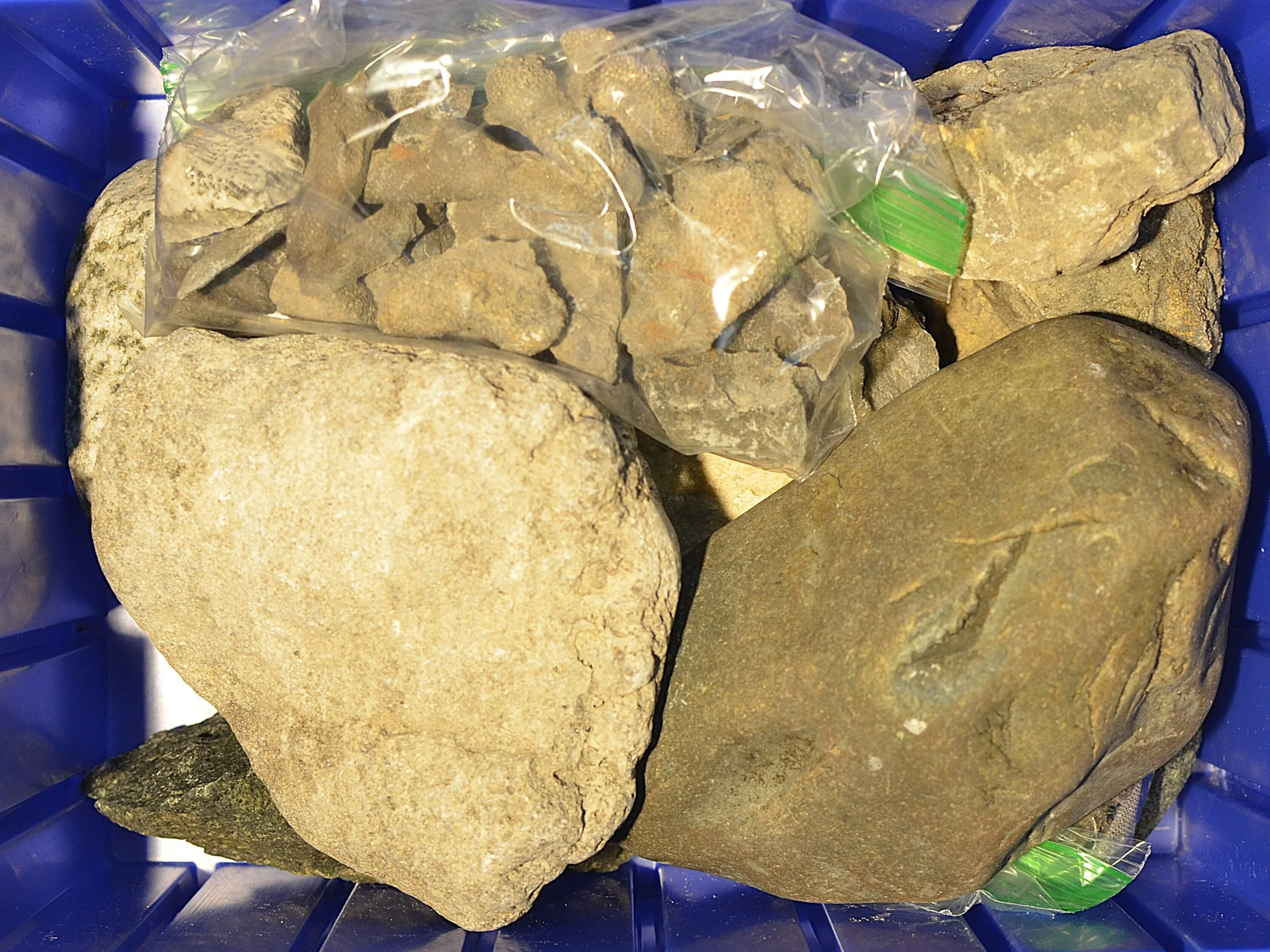 Great_Lakes_Lithic_Holdings_Box_06.JPG