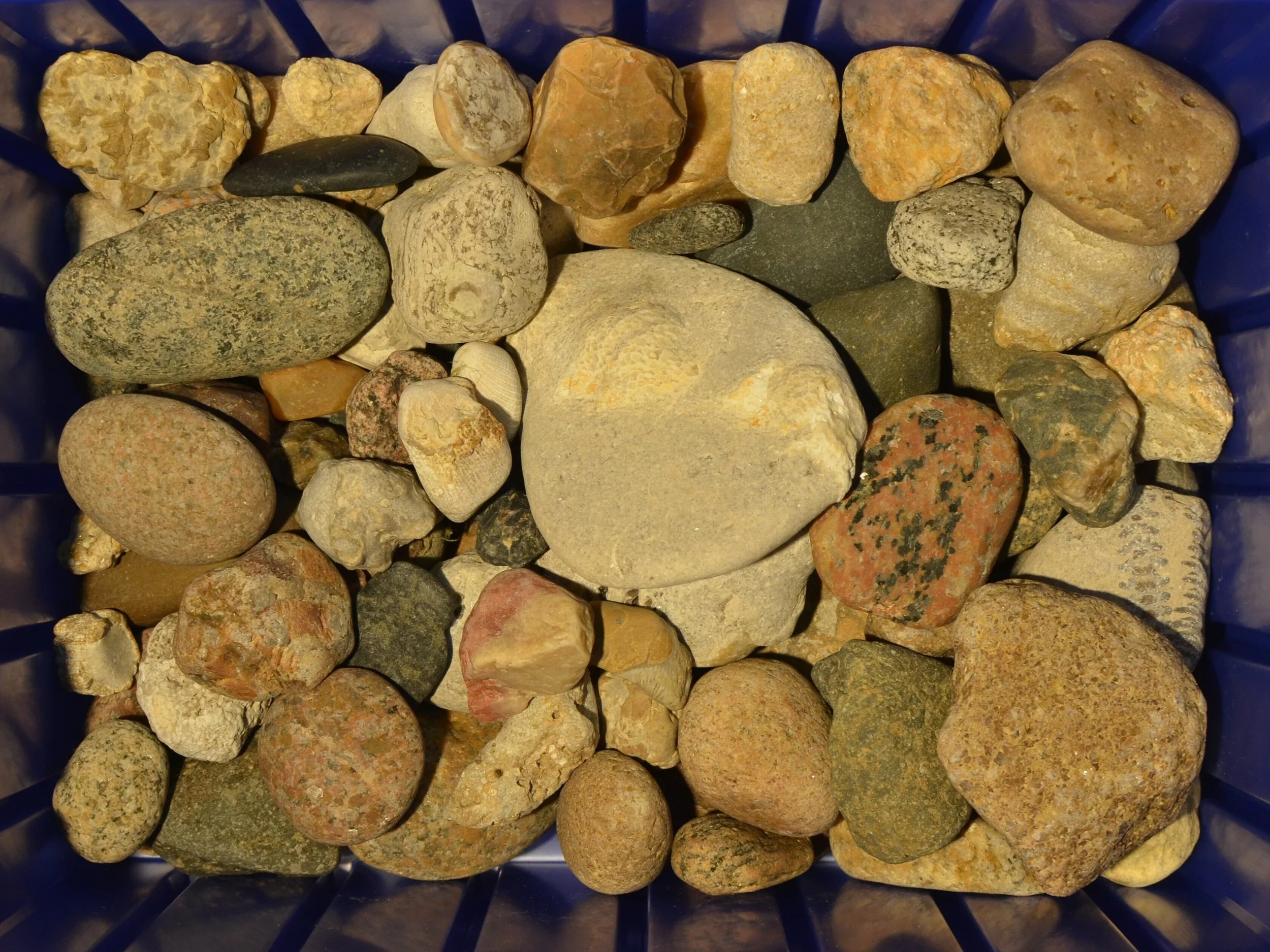 Great_Lakes_Lithic_Holdings_Box_05.JPG