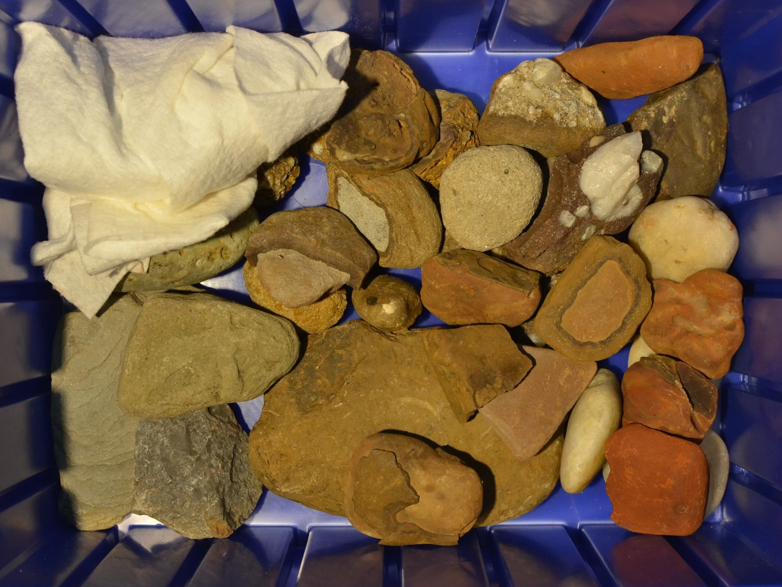 Great_Lakes_Lithic_Holdings_Box_07.JPG