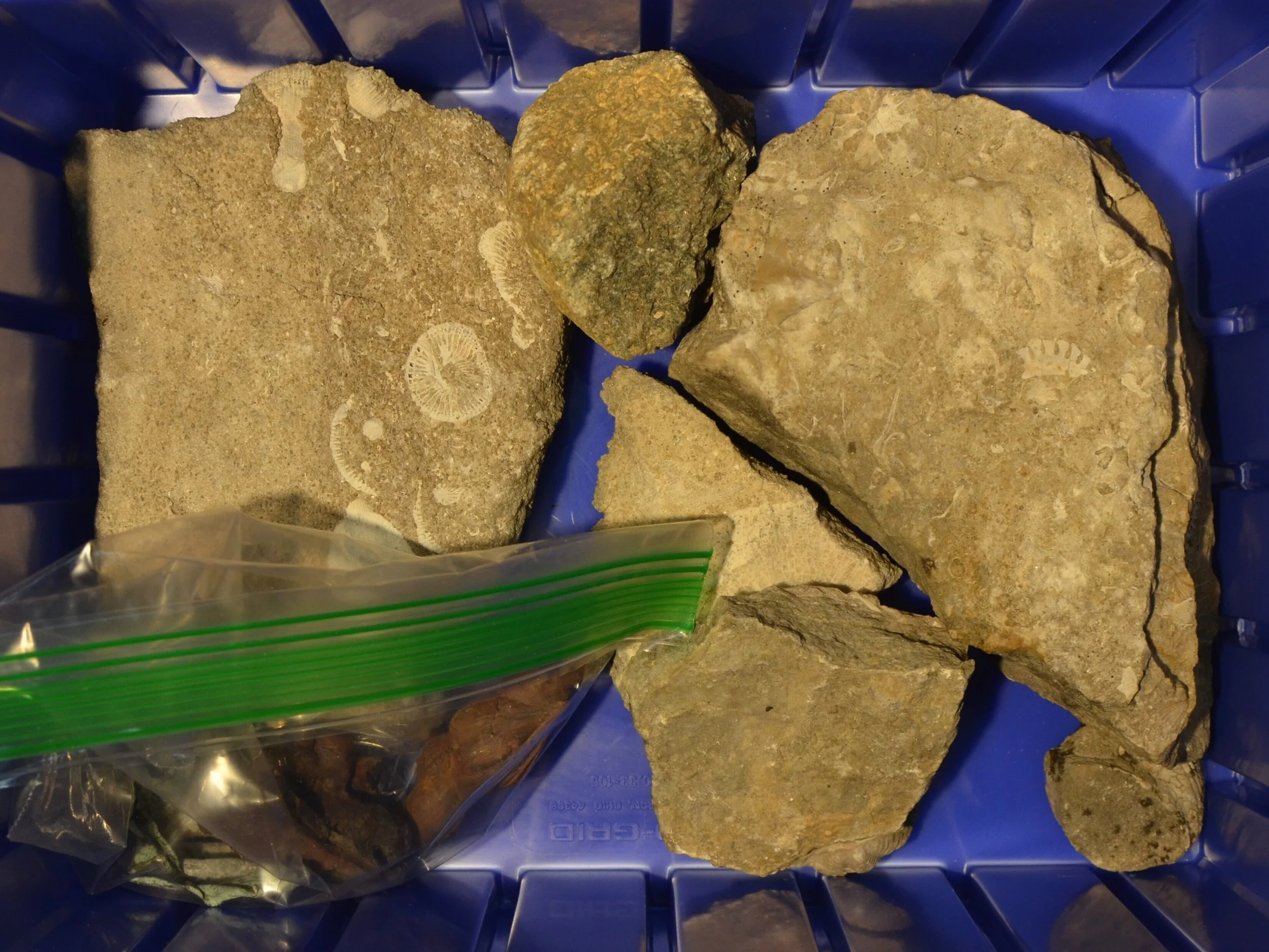 Great_Lakes_Lithic_Holdings_Box_34.JPG