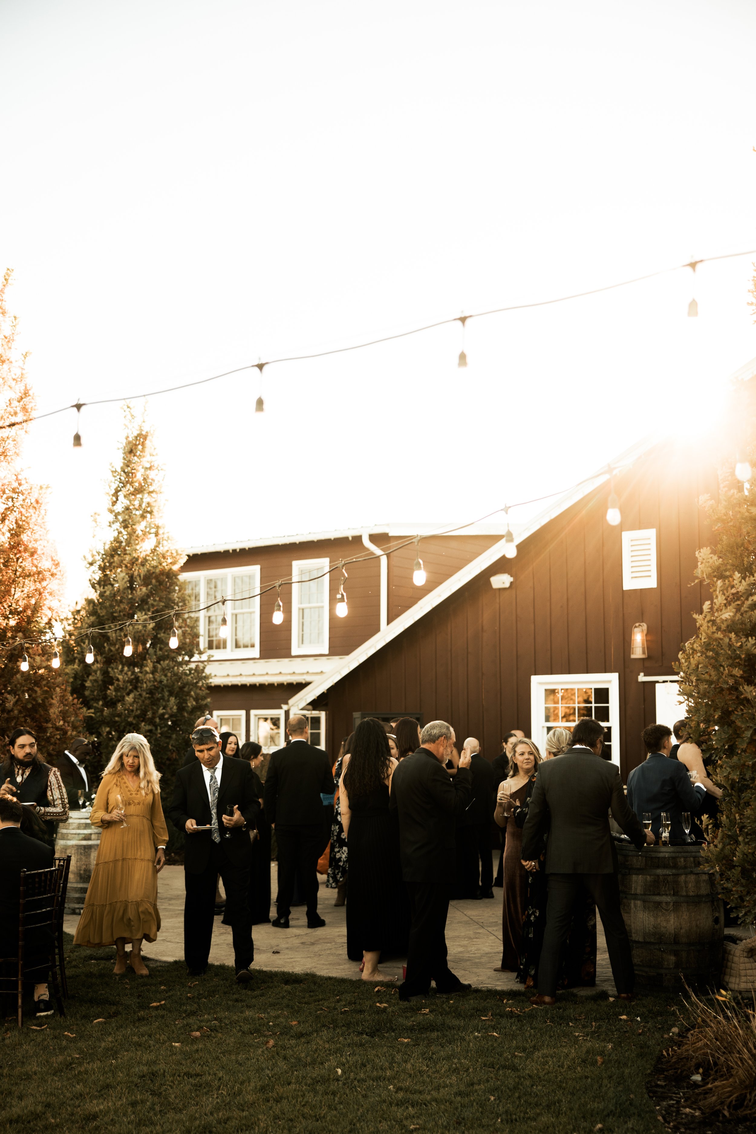 The-Barn-at-Raccoon-Creek-Wedding-239.jpg