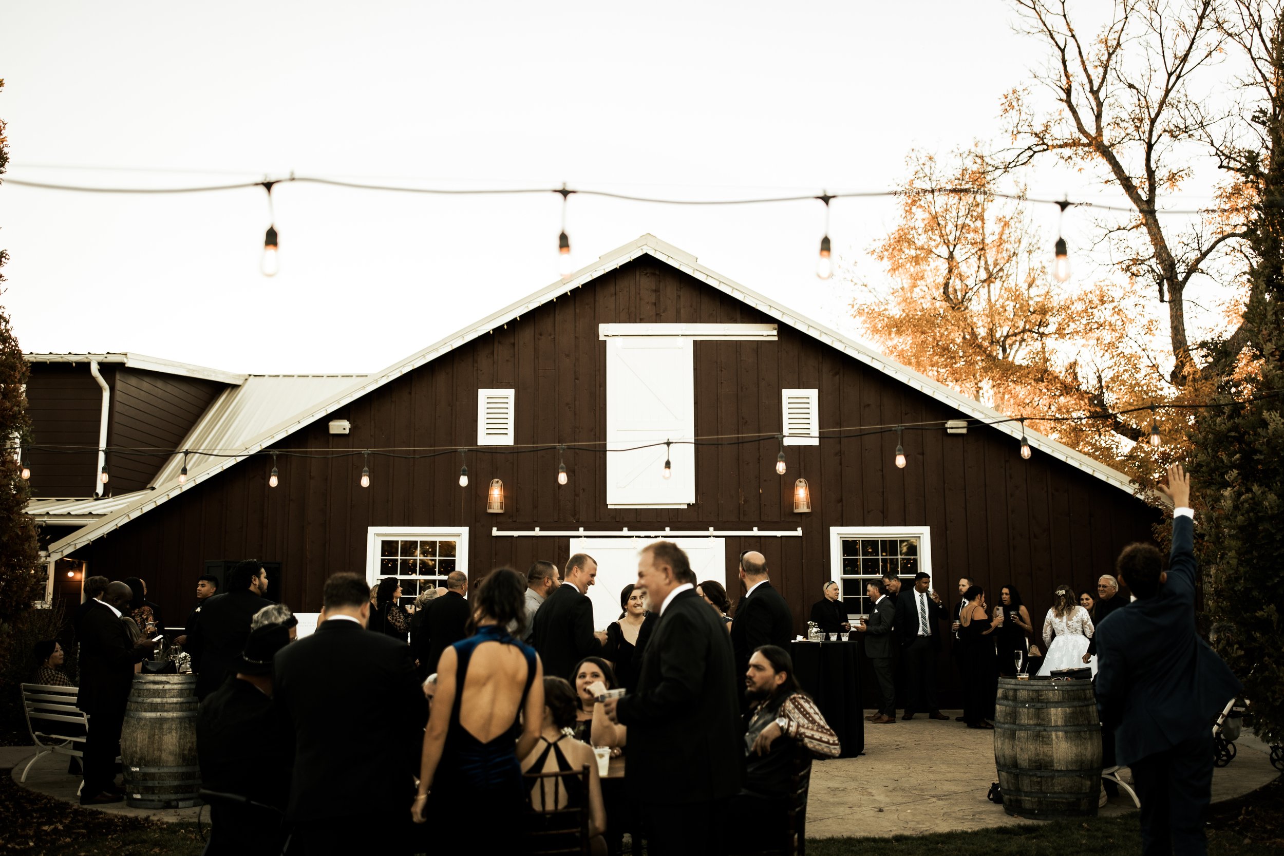 The-Barn-at-Raccoon-Creek-Wedding-233.jpg
