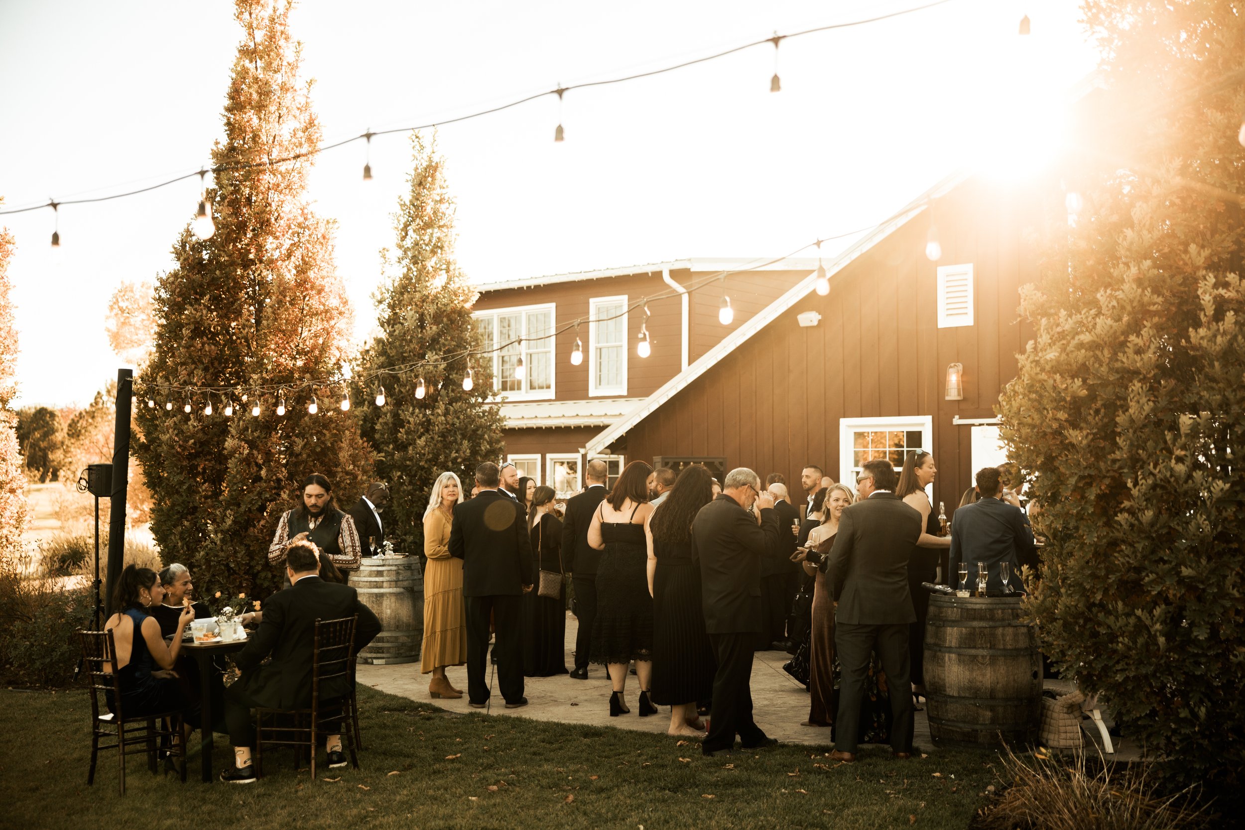 The-Barn-at-Raccoon-Creek-Wedding-238.jpg