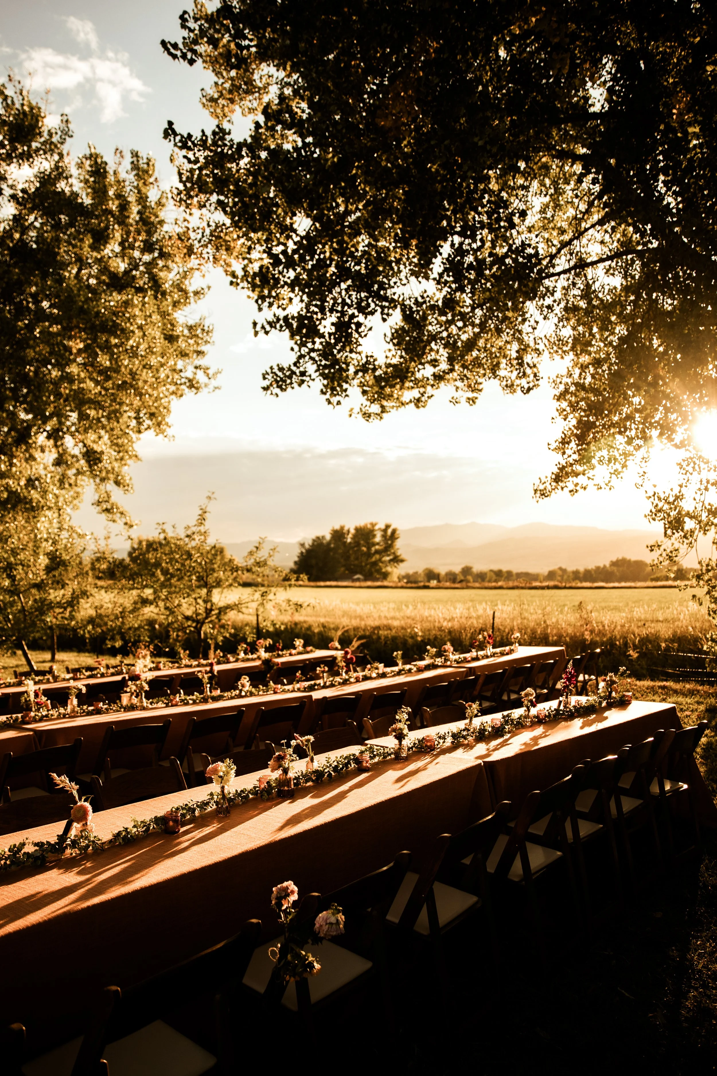Ya-ya-farm-and-orchard-wedding-33.JPG