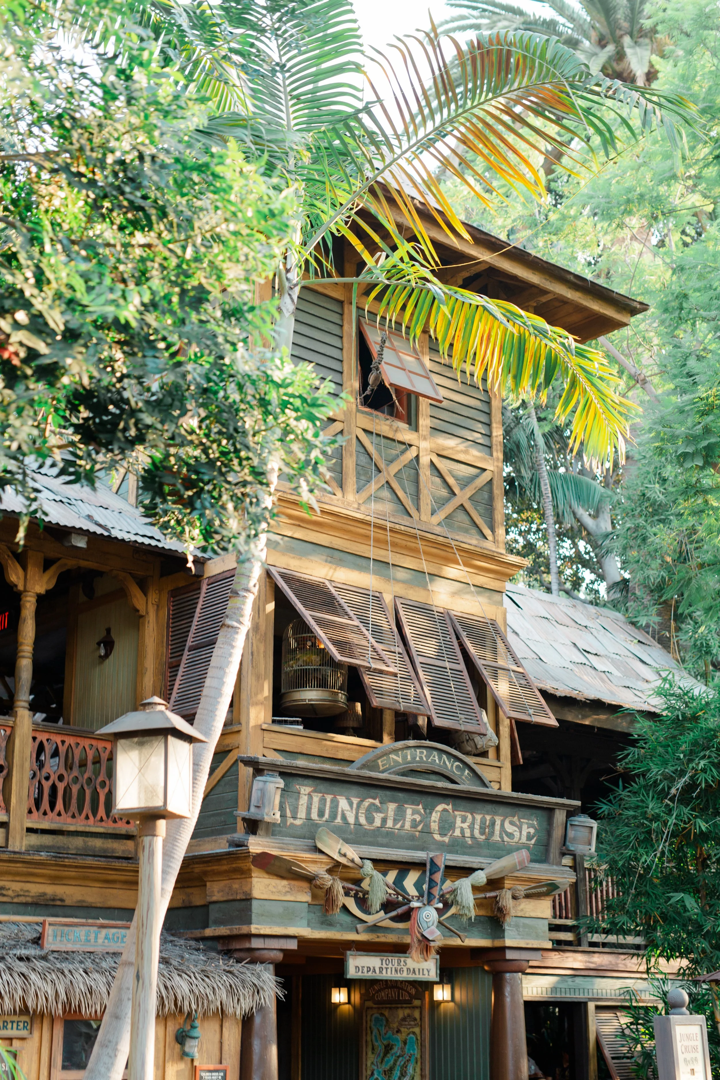 Jungle Cruise film photography
