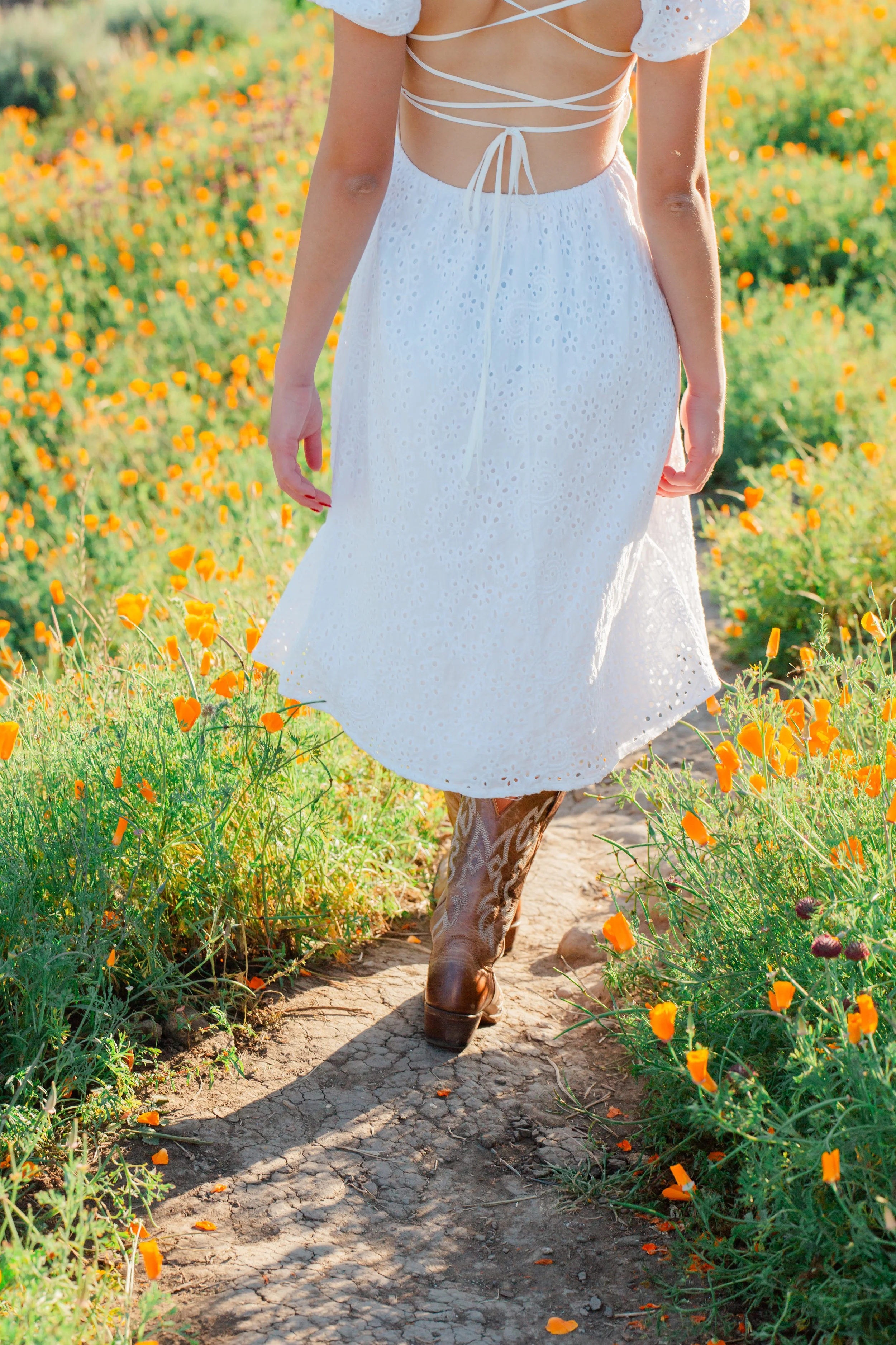 California Poppies photography
