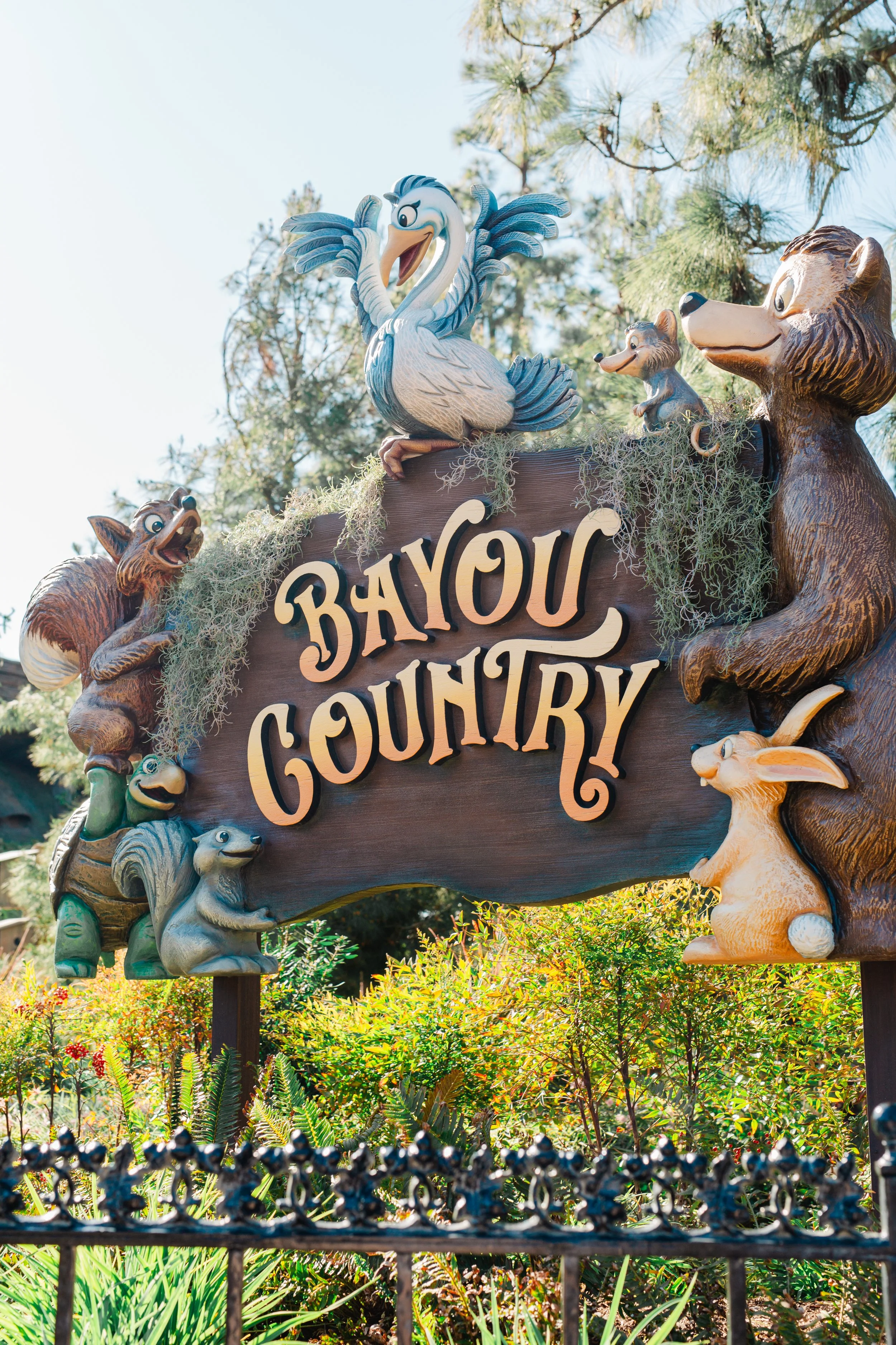 Tianas Bayou Adventure photography