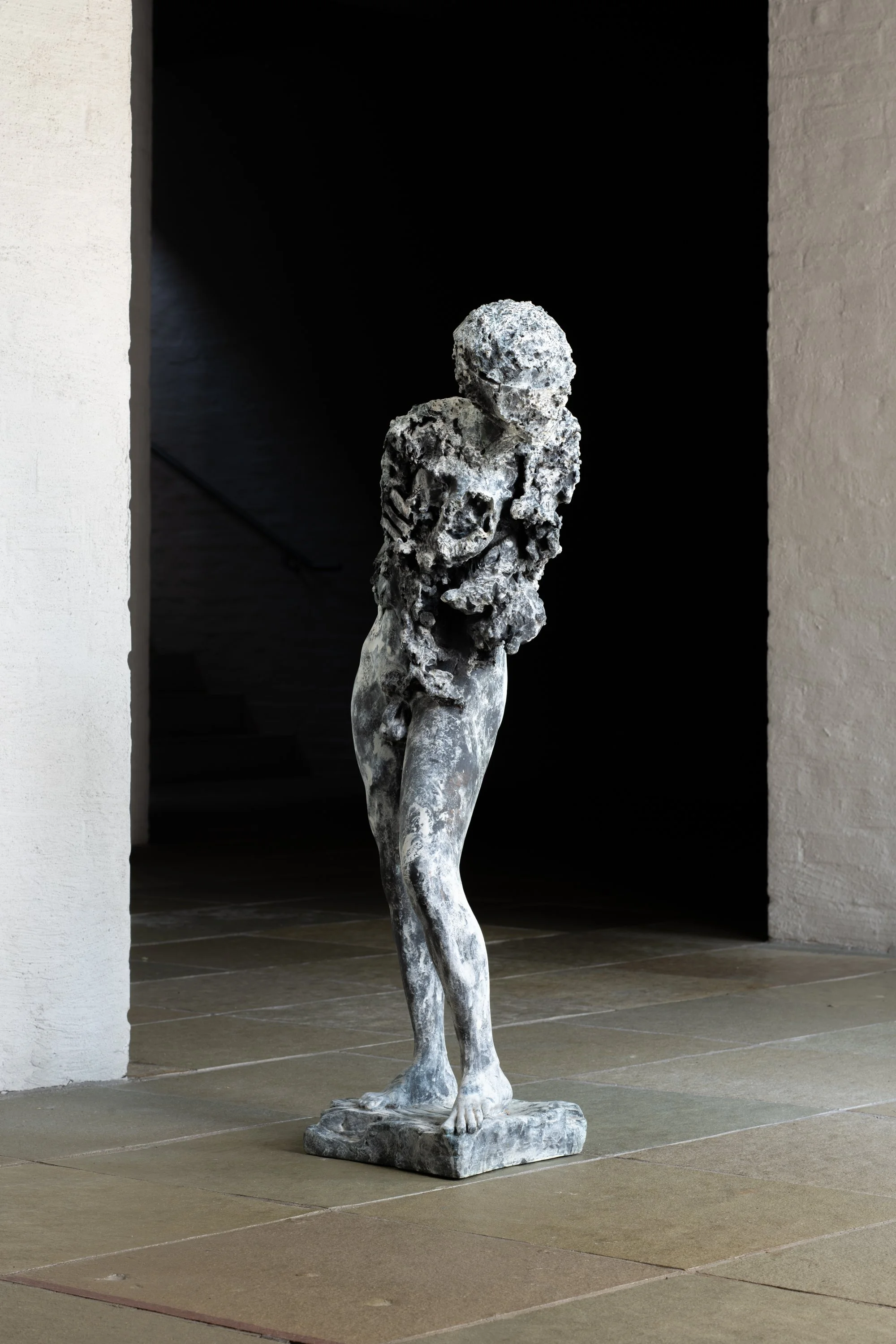 ©MichelJanssens_Homo Universalis 20.22 II_0205.jpg