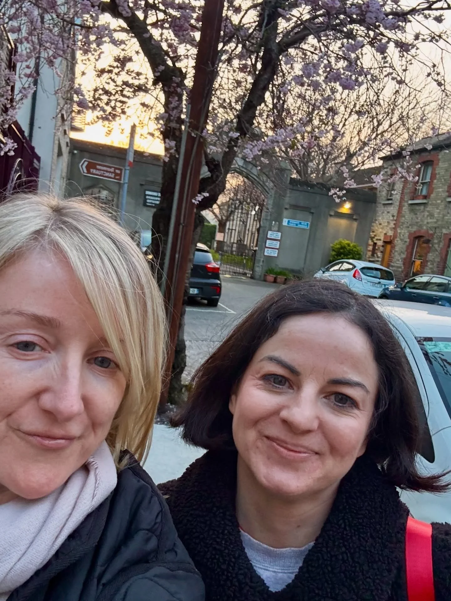 💜 Tonight was cacao, sound bowls, and pure exhale.

🧡 When the nervous system softens, the gut softens too.
Rest-and-digest isn&rsquo;t a concept &mdash; it&rsquo;s biology.

Sometimes healing is simply allowing the body to feel safe.

Have you fel