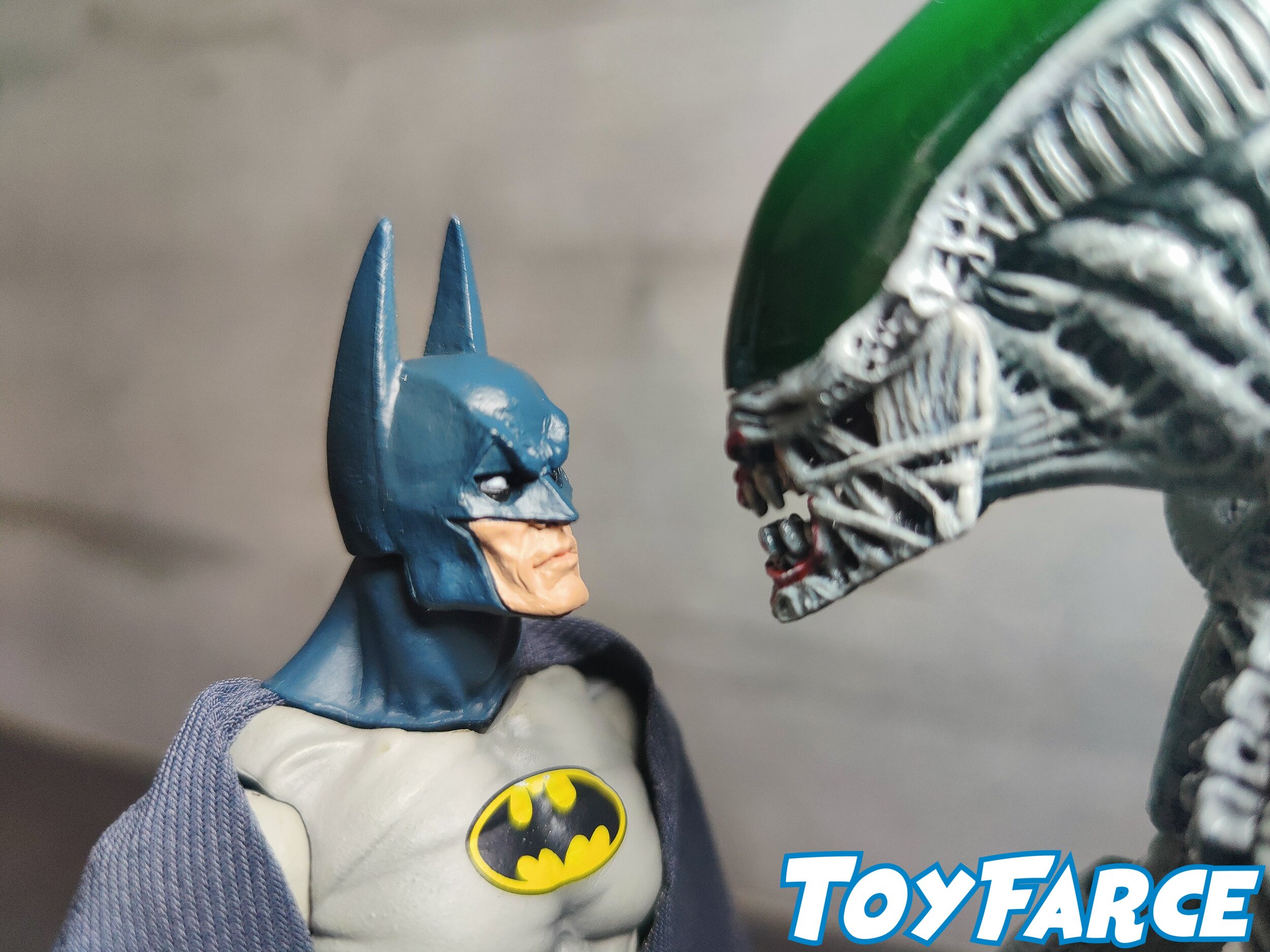 ToyFarce — REVIEW: NECA'S BATMAN/ALIENS & GREEN LANTERN/PREDATOR TWO-PACKS