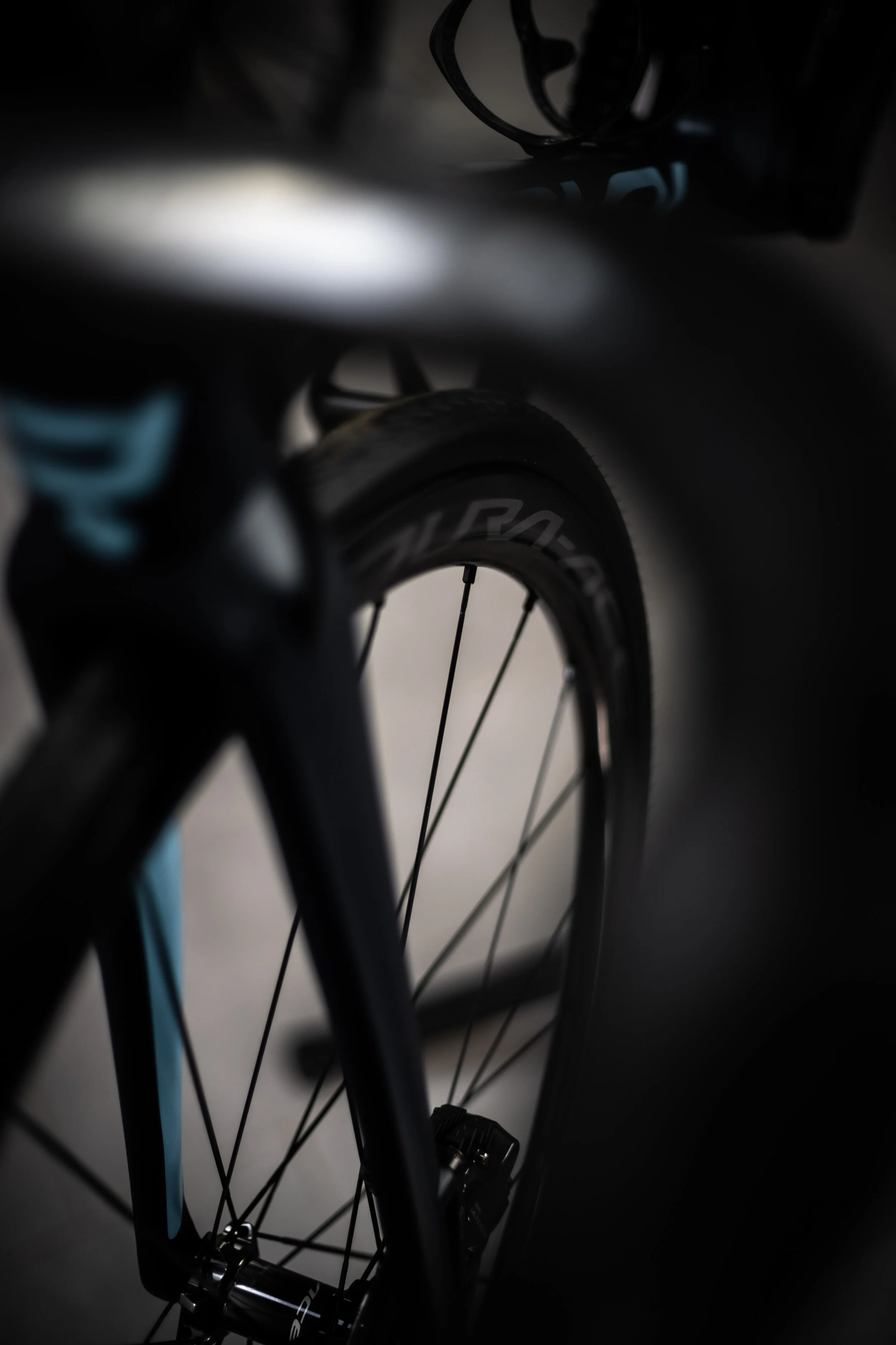 paul_shimano_by_clement-21.jpg