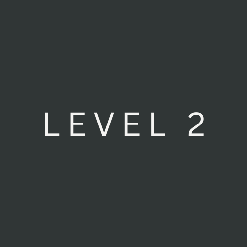 Level 2