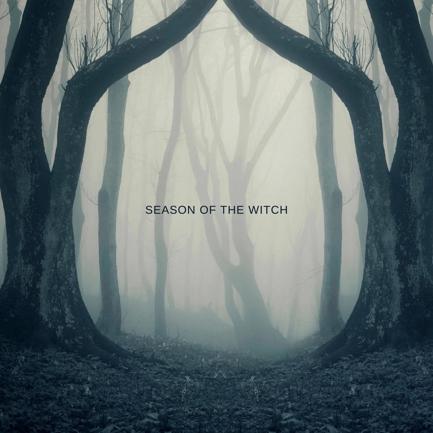 Music Playlist: Season of the Witch