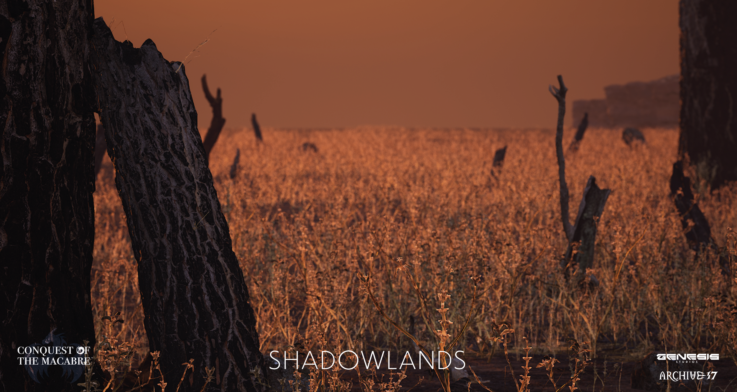 Final COTM Env - Portfolio -04.png