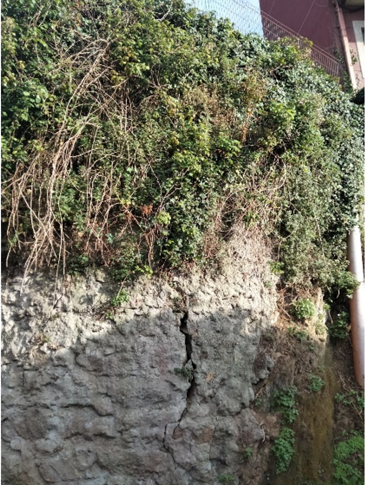 Derrube en Oseiro 2.png