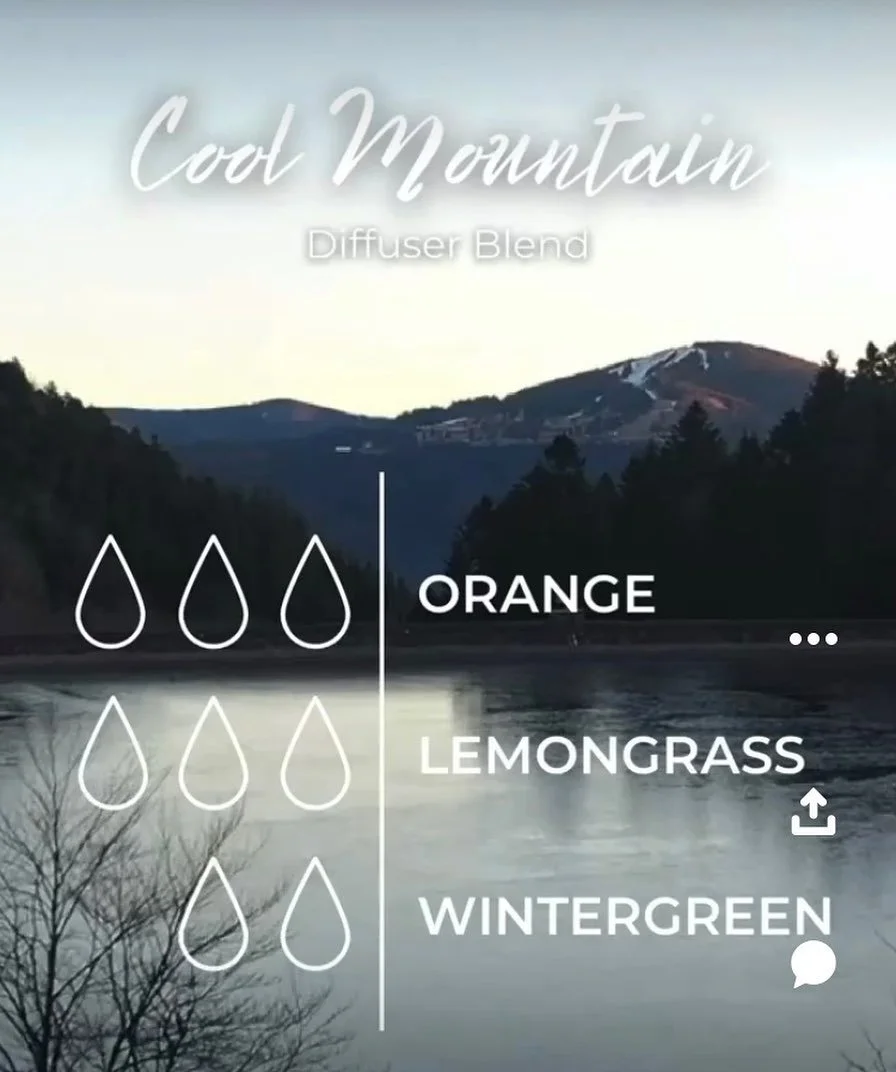 Sometimes I don&rsquo;t know what to do with Wintergreen and then something pops up and sounds like a good idea 💡 

#doterrawellnessadvocate @doterra #wintergreeneo #doterrablends #transitiontospring