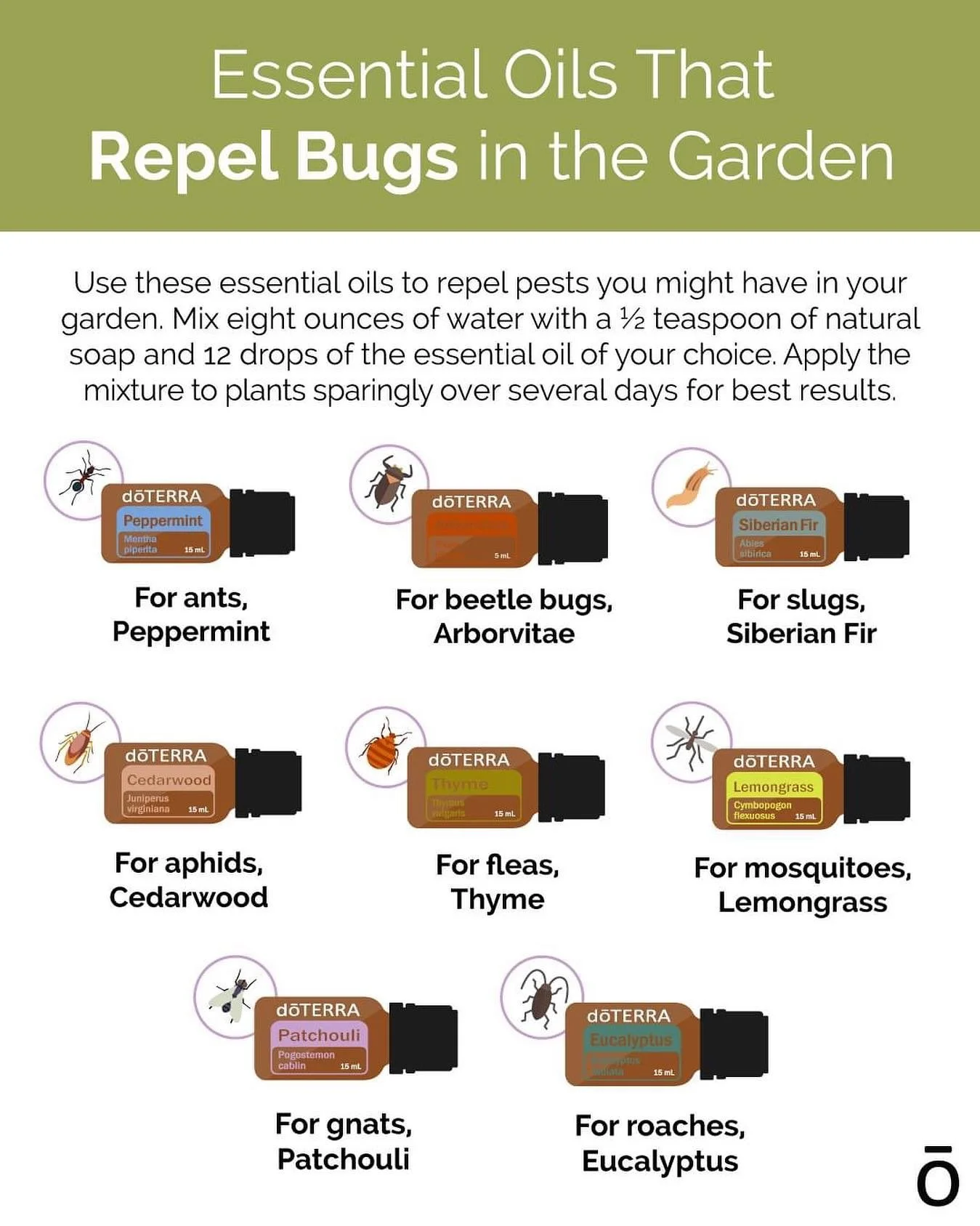 Get ready with natural solutions to make spring and summer more comfortable to be outdoors.