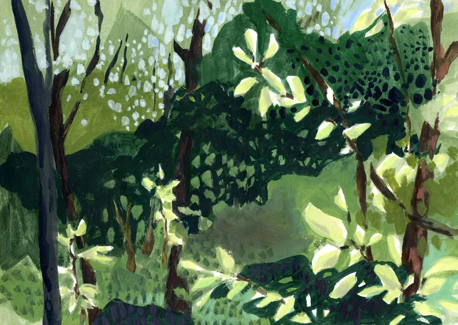 Postkarte A6 / N° 008 «árvores»

CHF 2.50