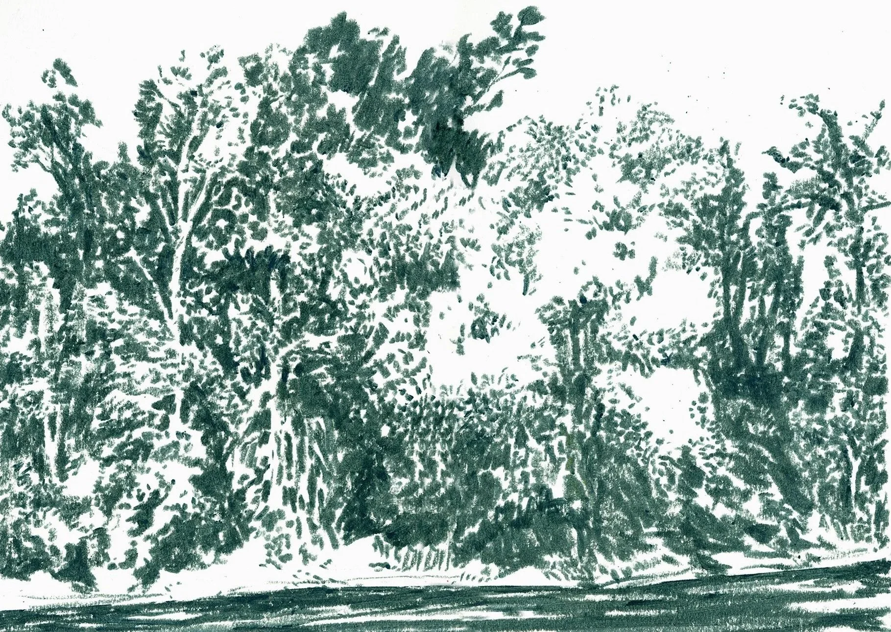 Postkarte A6 / N° 009 «árvores» 

CHF 2.50