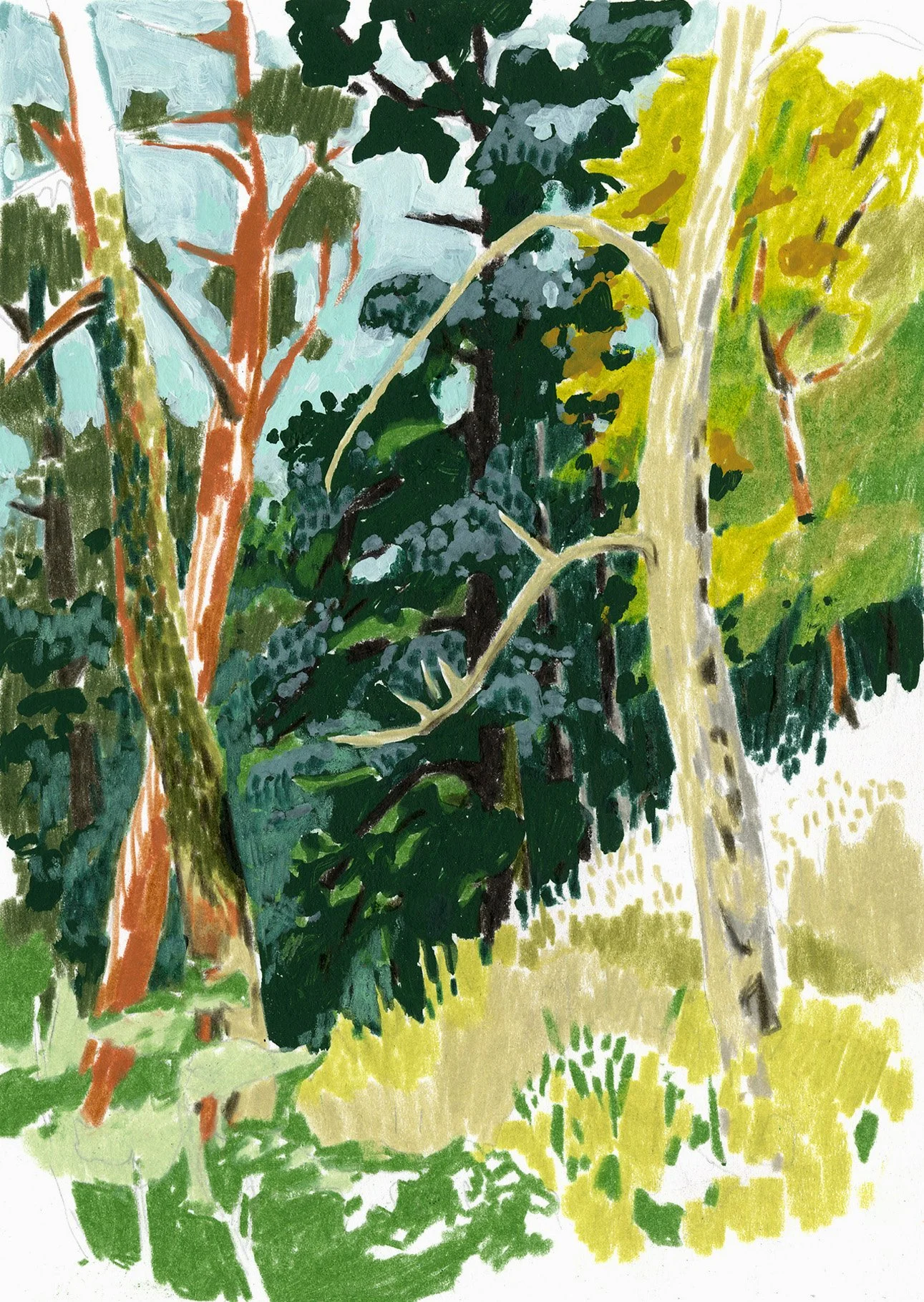 Postkarte A6 / N° 006 «árvores»

CHF 2.50