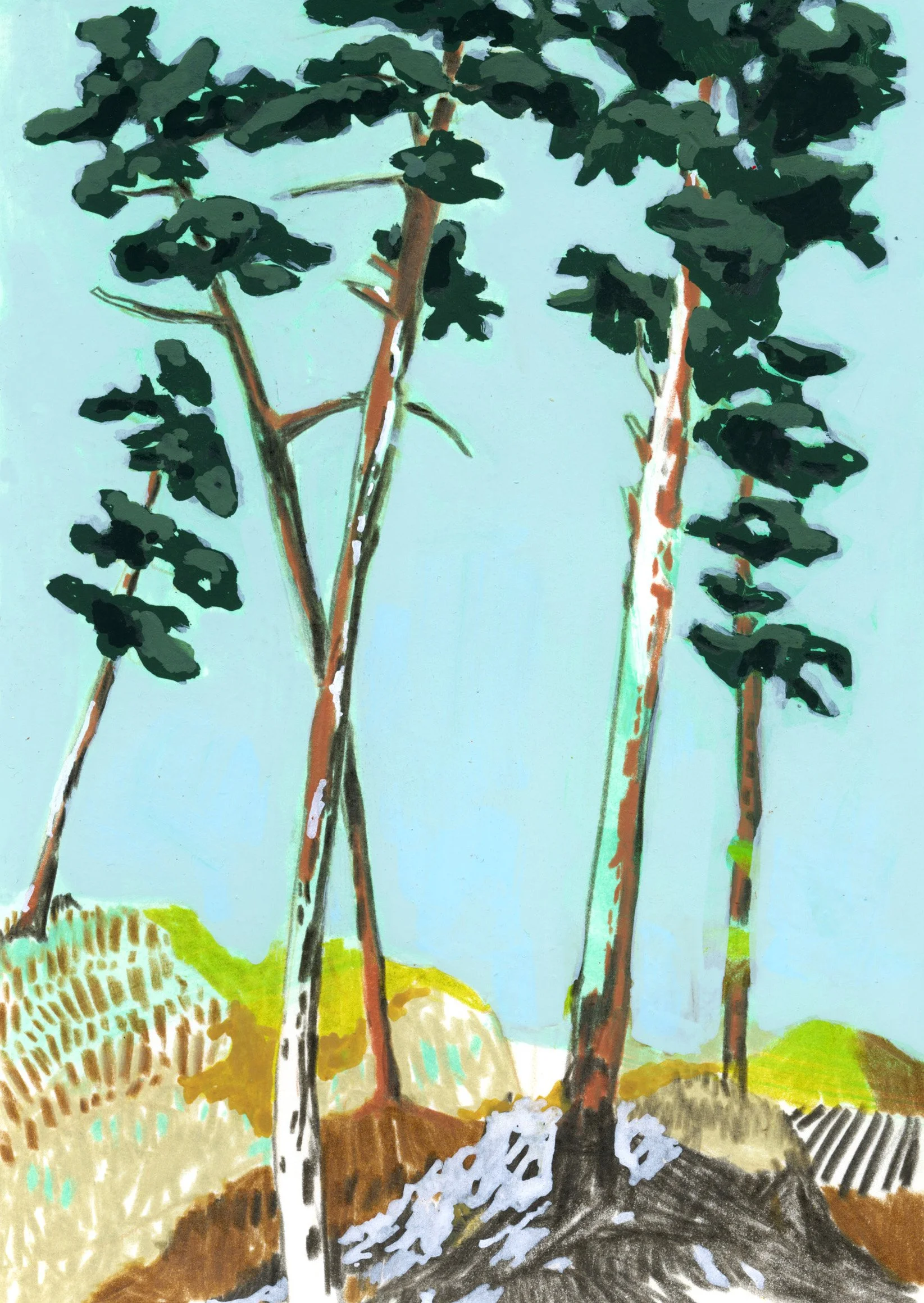 Postkarte A6 / N° 005 «árvores»

CHF 2.50