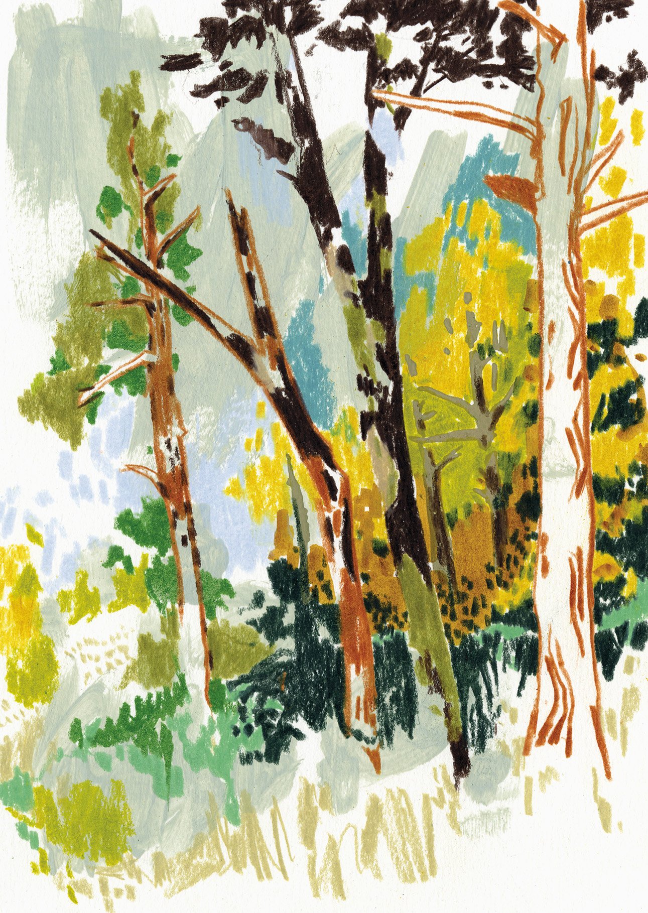 Postkarte A6 / N° 007 «árvores»

CHF 2.50