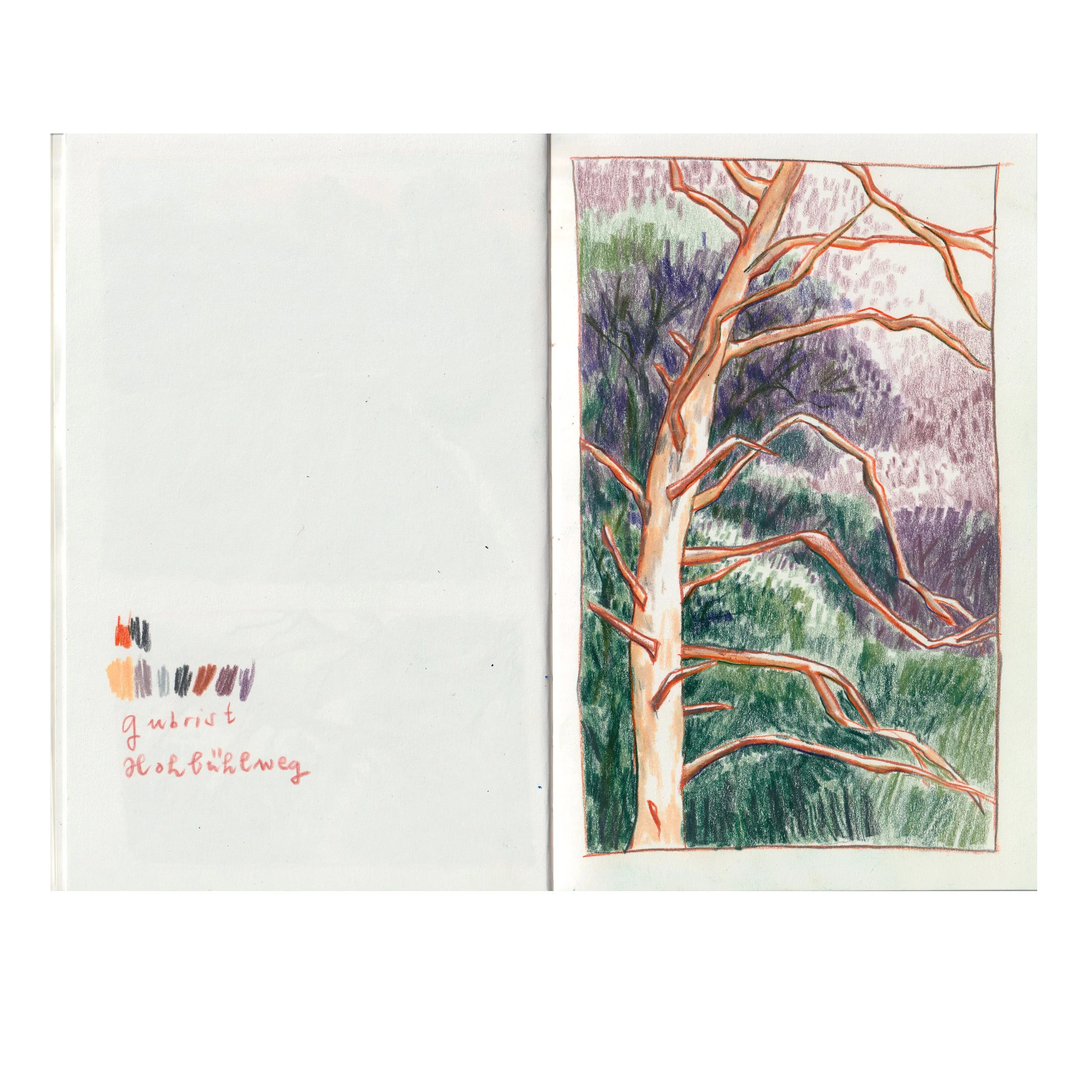 4-Hohbühlweg gubrist.jpg