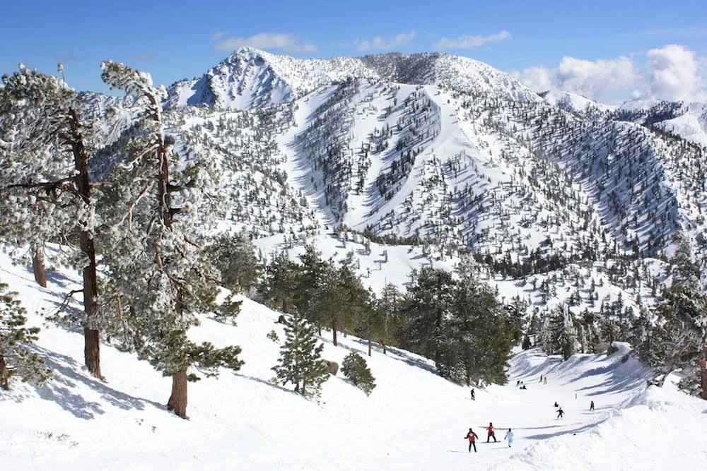 Best Ski Resort In Los Angeles California Skiing