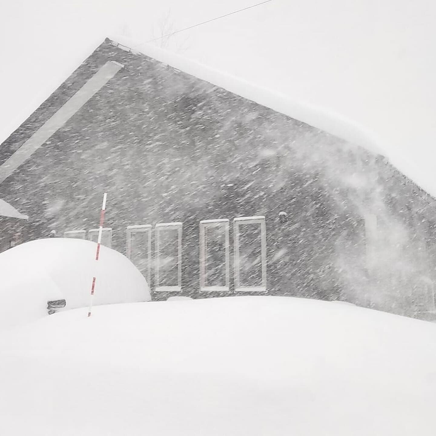 Did someone order 70cm of fresh snow in 24 hours?

If so&hellip;. Rusutsu has delivered! 

These shots from @rupowlodge show the insanity of Hokkaido right now.

📸 @rupowlodge 

#rusutsu #rusutsuresort #rusutsuskiresort #hokkaido #sapporo #hokkaidot