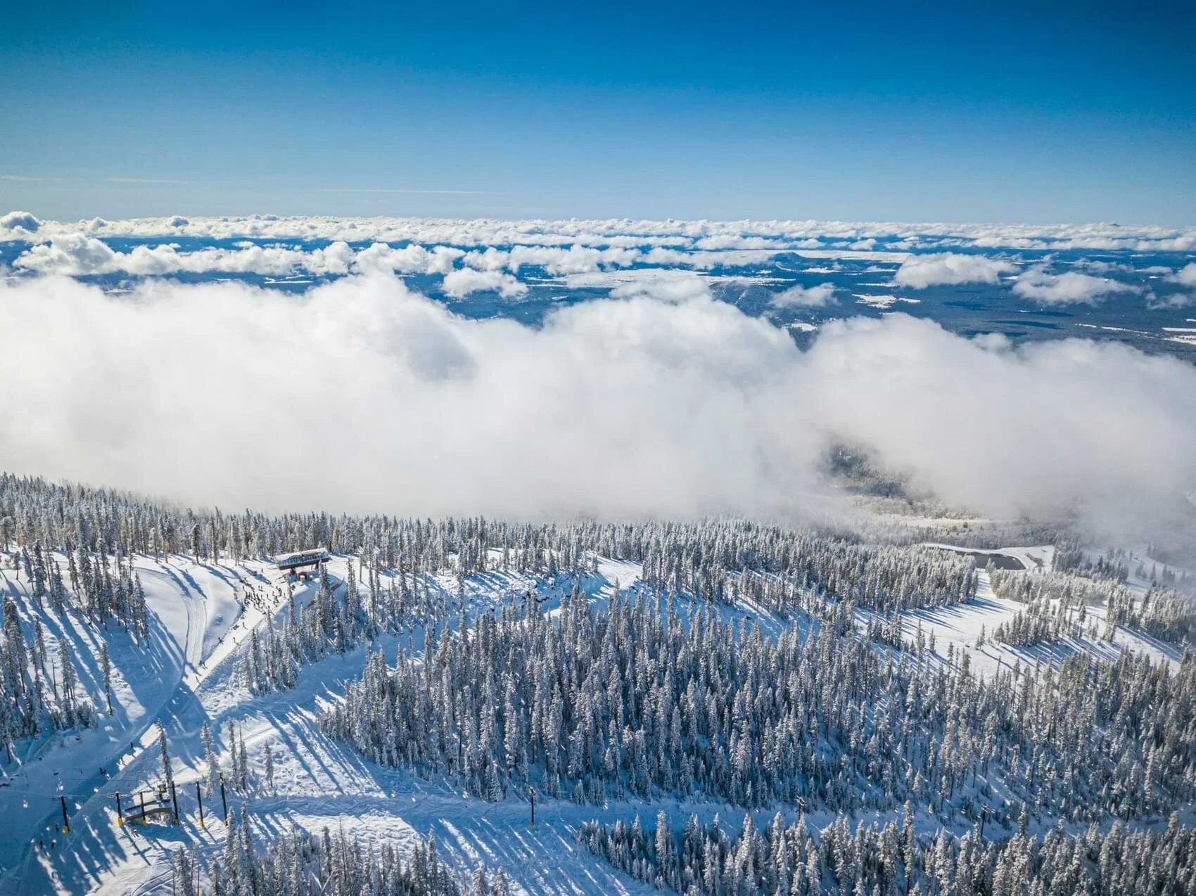 Arizona Snowbowl Lift Ticket Ski Pass Deals Arizona