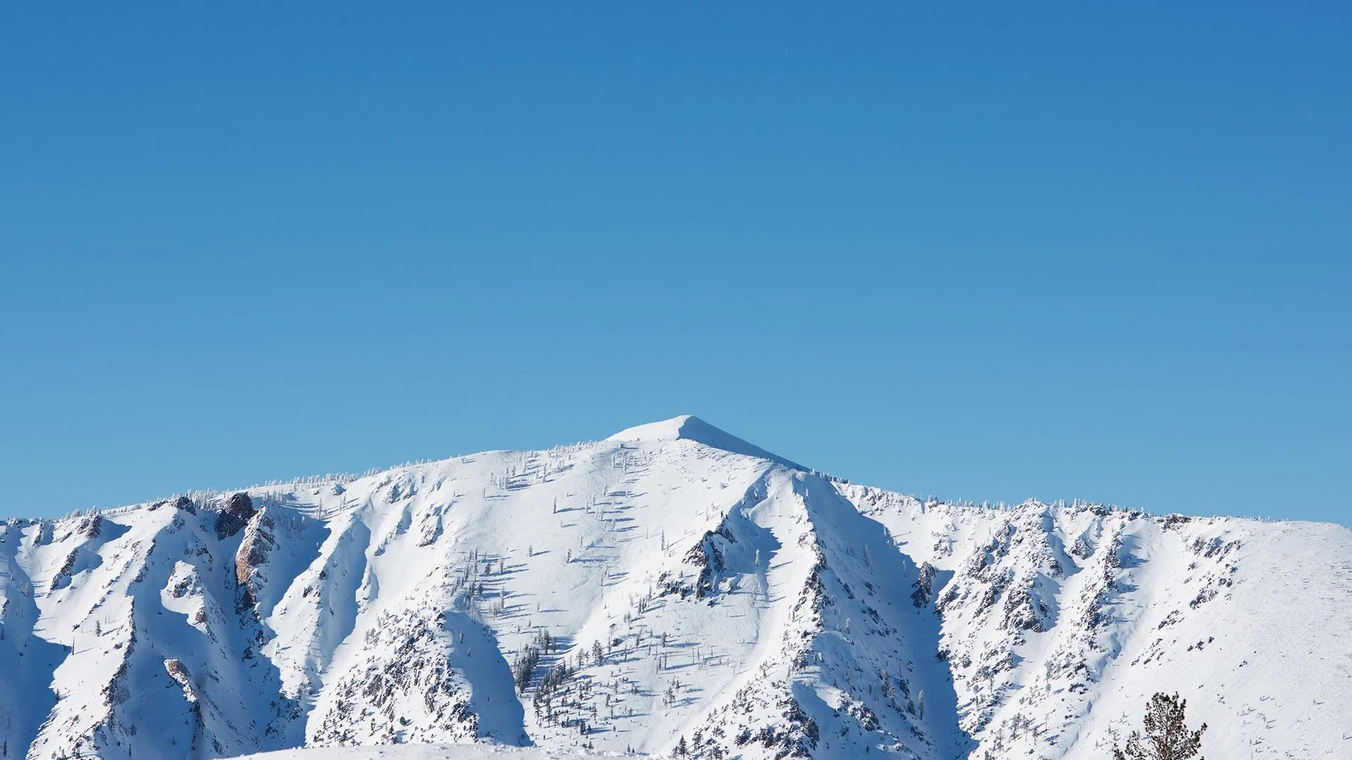 Bear Valley Ski Resort Hidden Gem In California Sierra Nevada