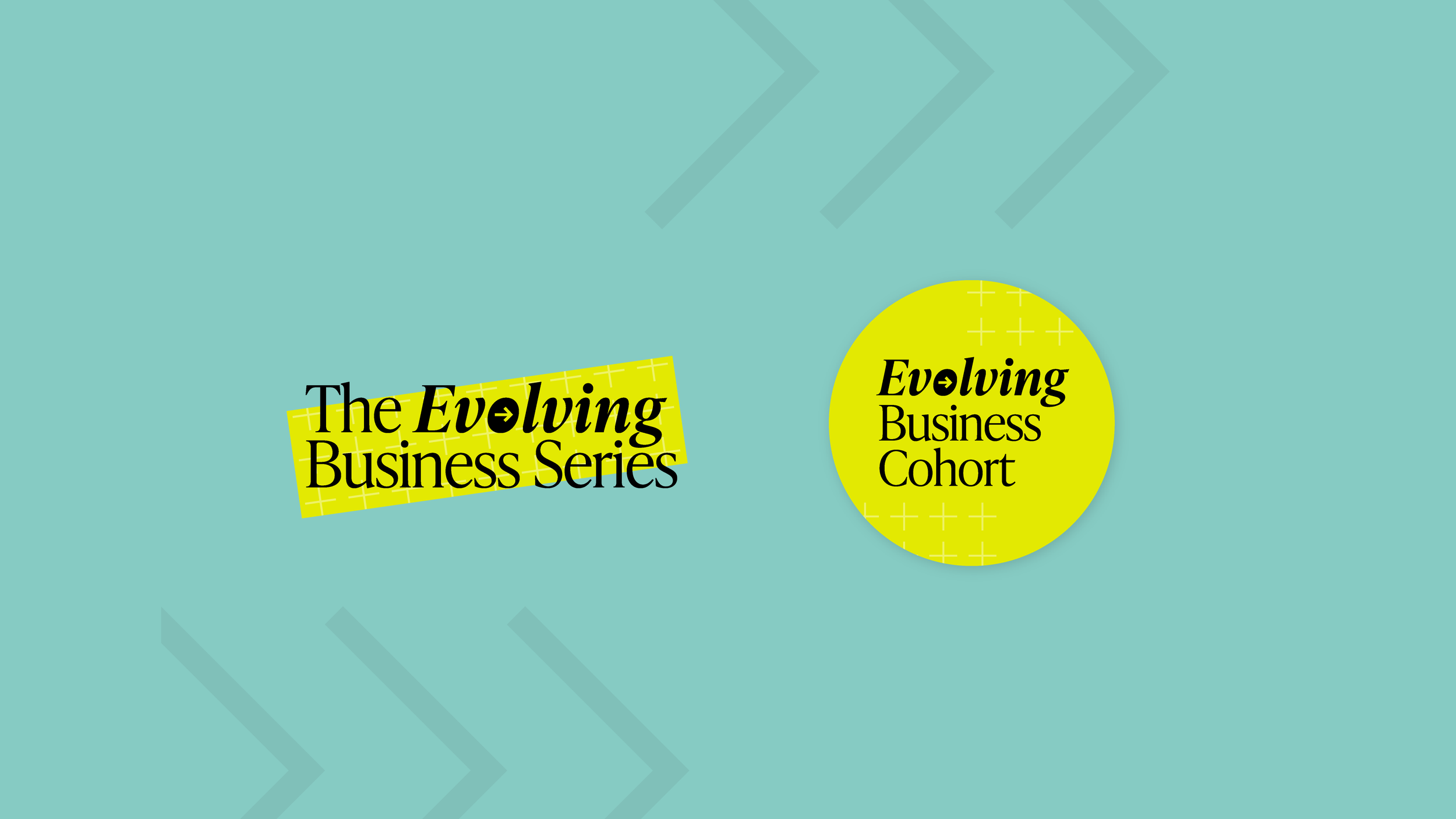 evolving_business_cohort_series.png