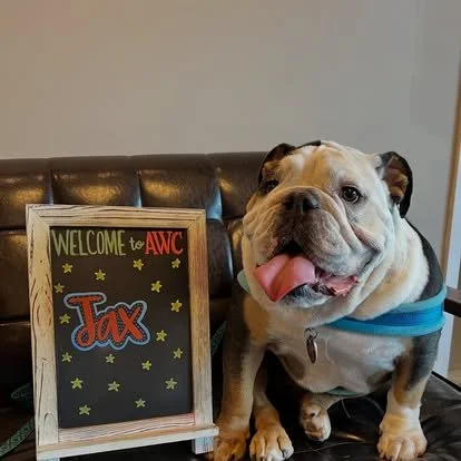 Pet Care Products at Animal Wellness Center of Athens