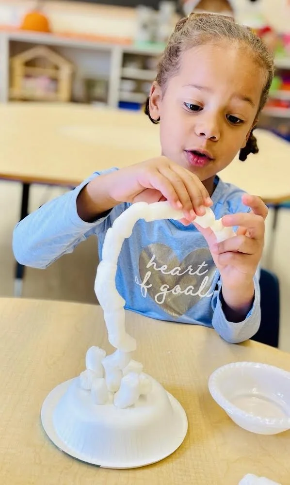 Blog Post Title Four