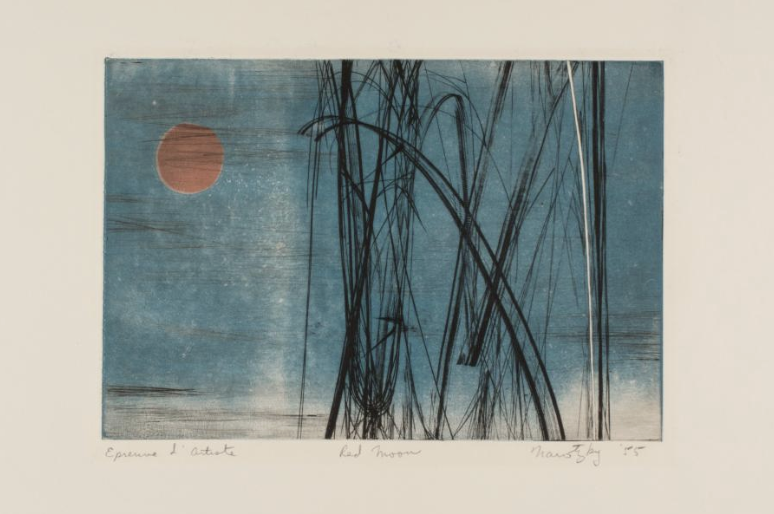 FULL MOON IN VIRGO, 2026