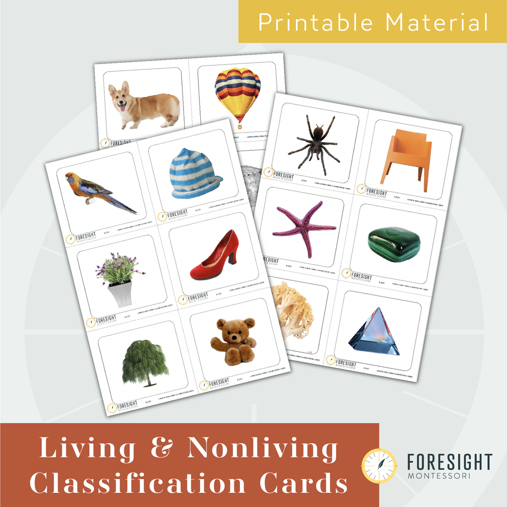 Plant & Animal Classification Cards — Foresight Montessori