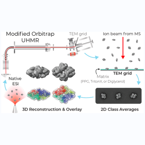 Matrix Landing Mass Spectrometry: Exploring its Applications